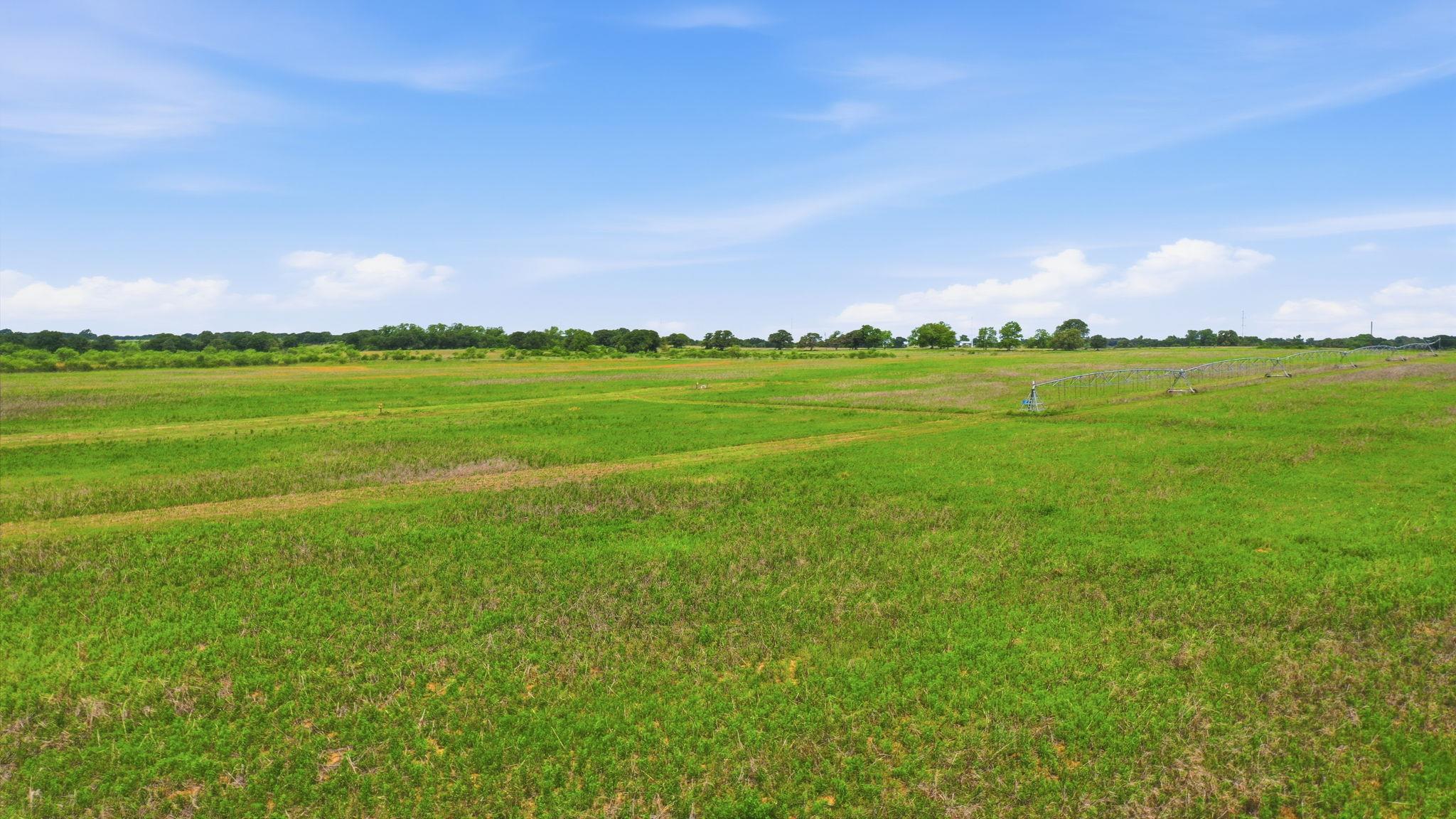 Tbd Cr 495 None Property Photo 23