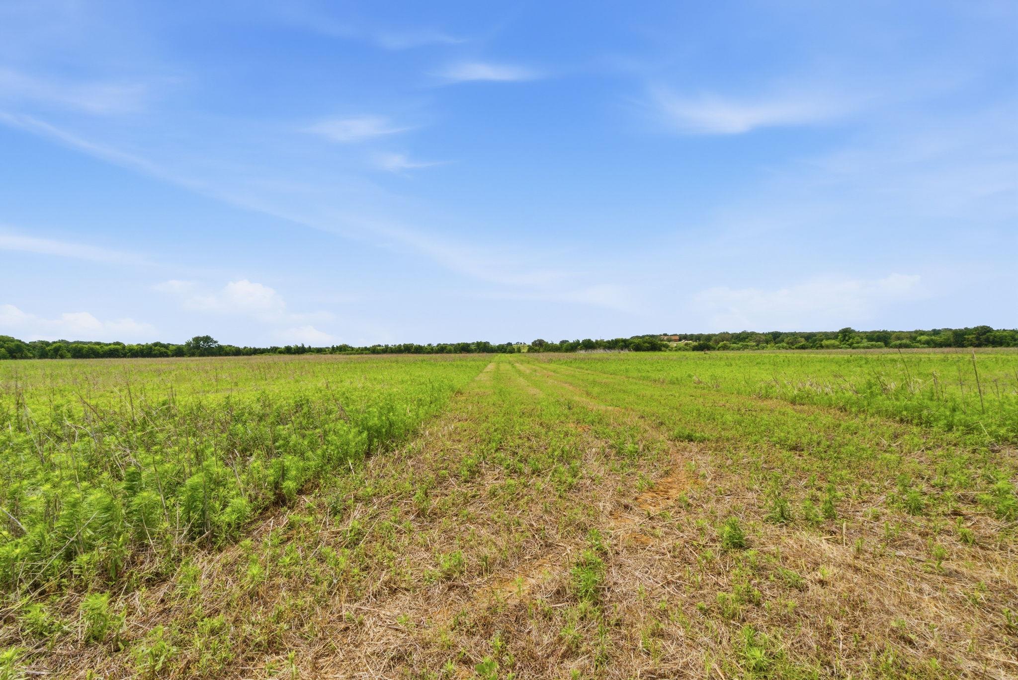 Tbd Cr 495 None Property Photo 29