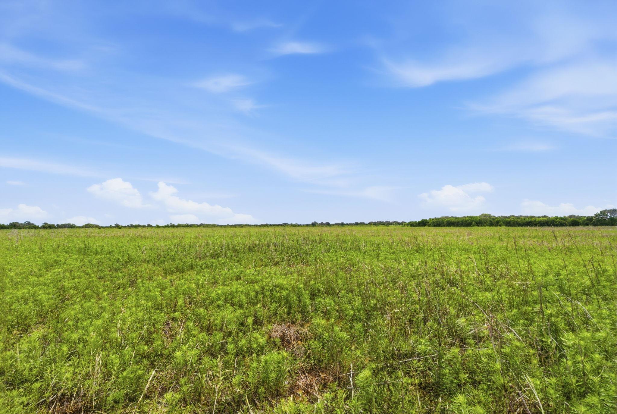 Tbd Cr 495 None Property Photo 30
