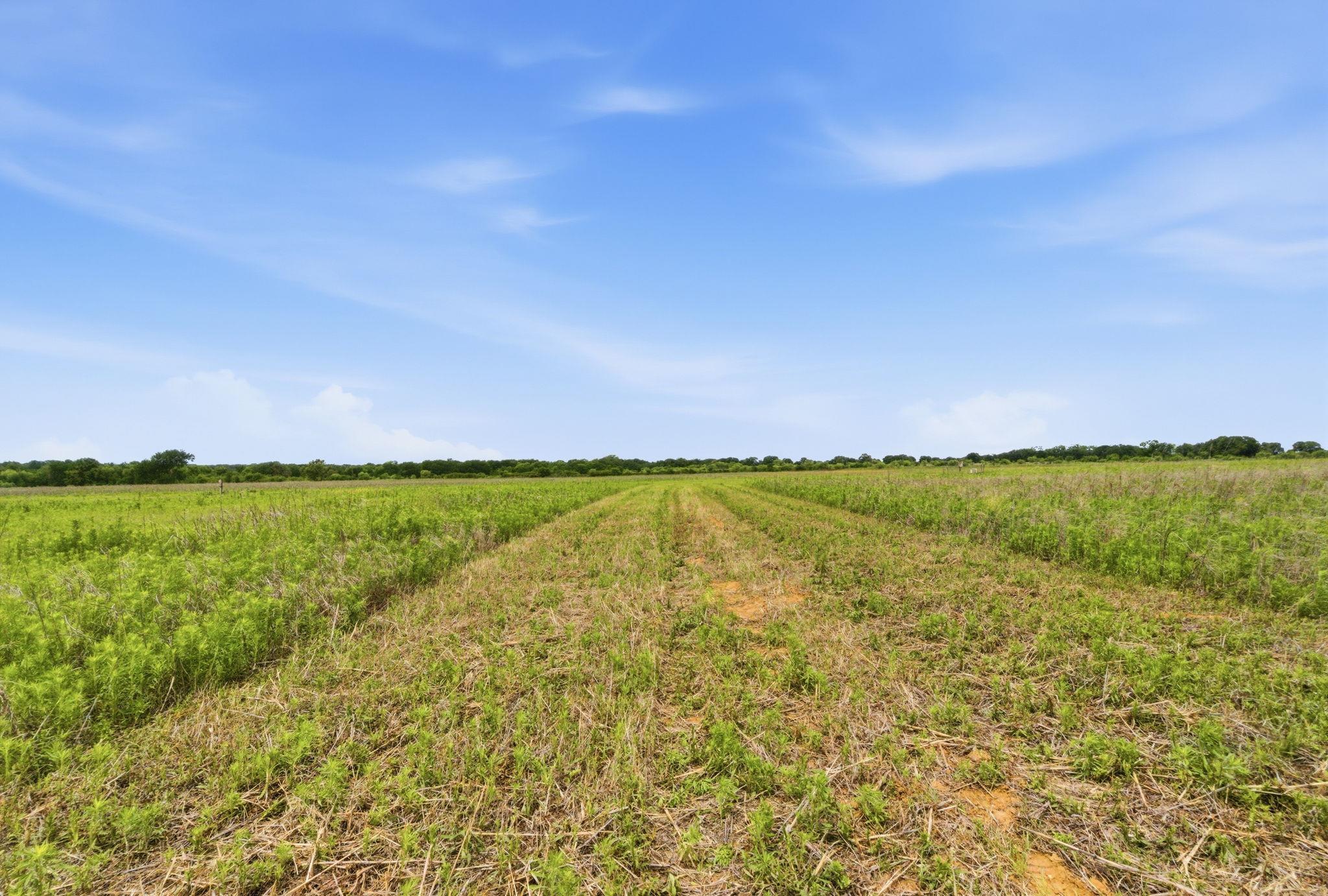 Tbd Cr 495 None Property Photo 31