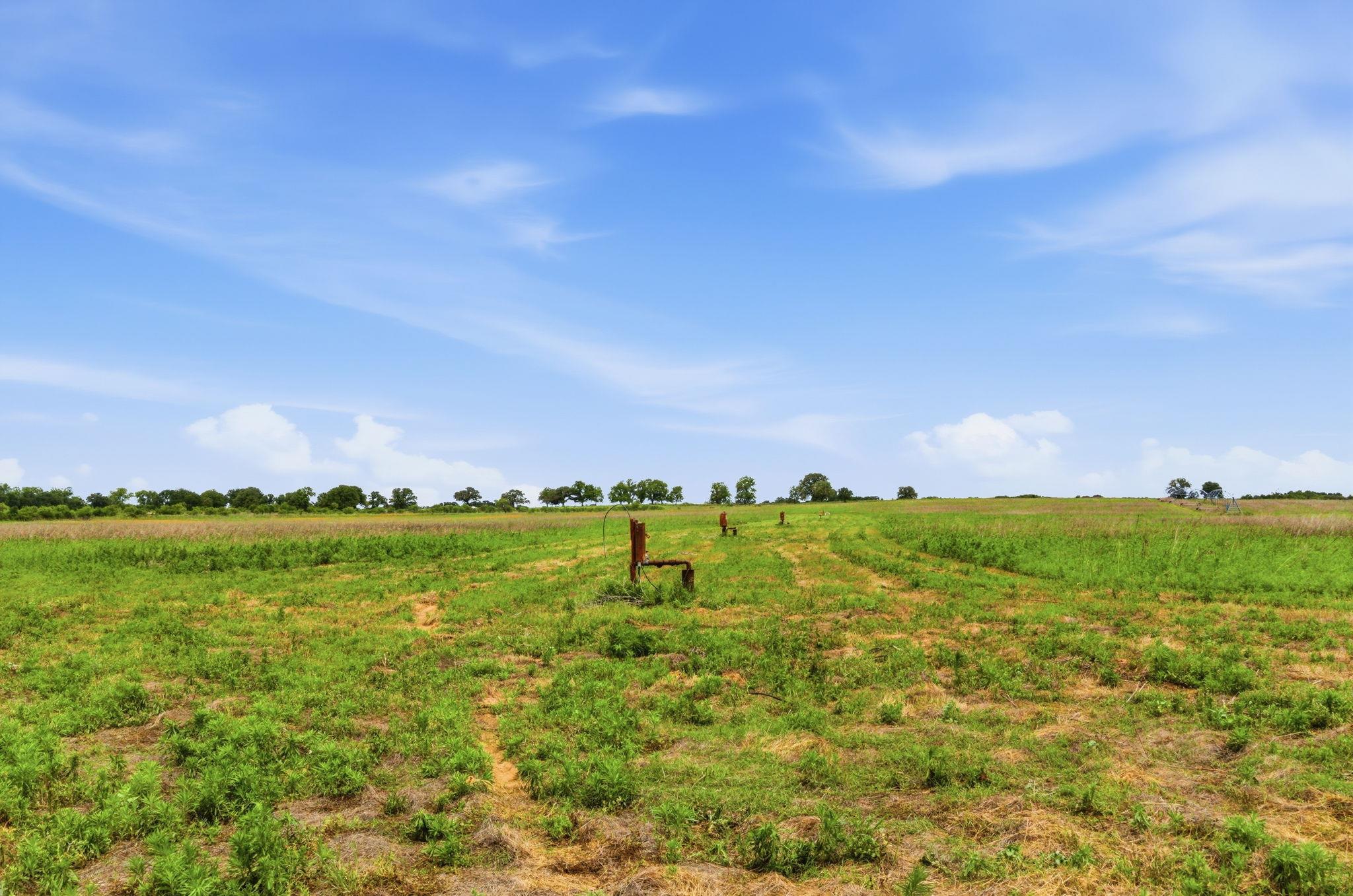 Tbd Cr 495 None Property Photo 32