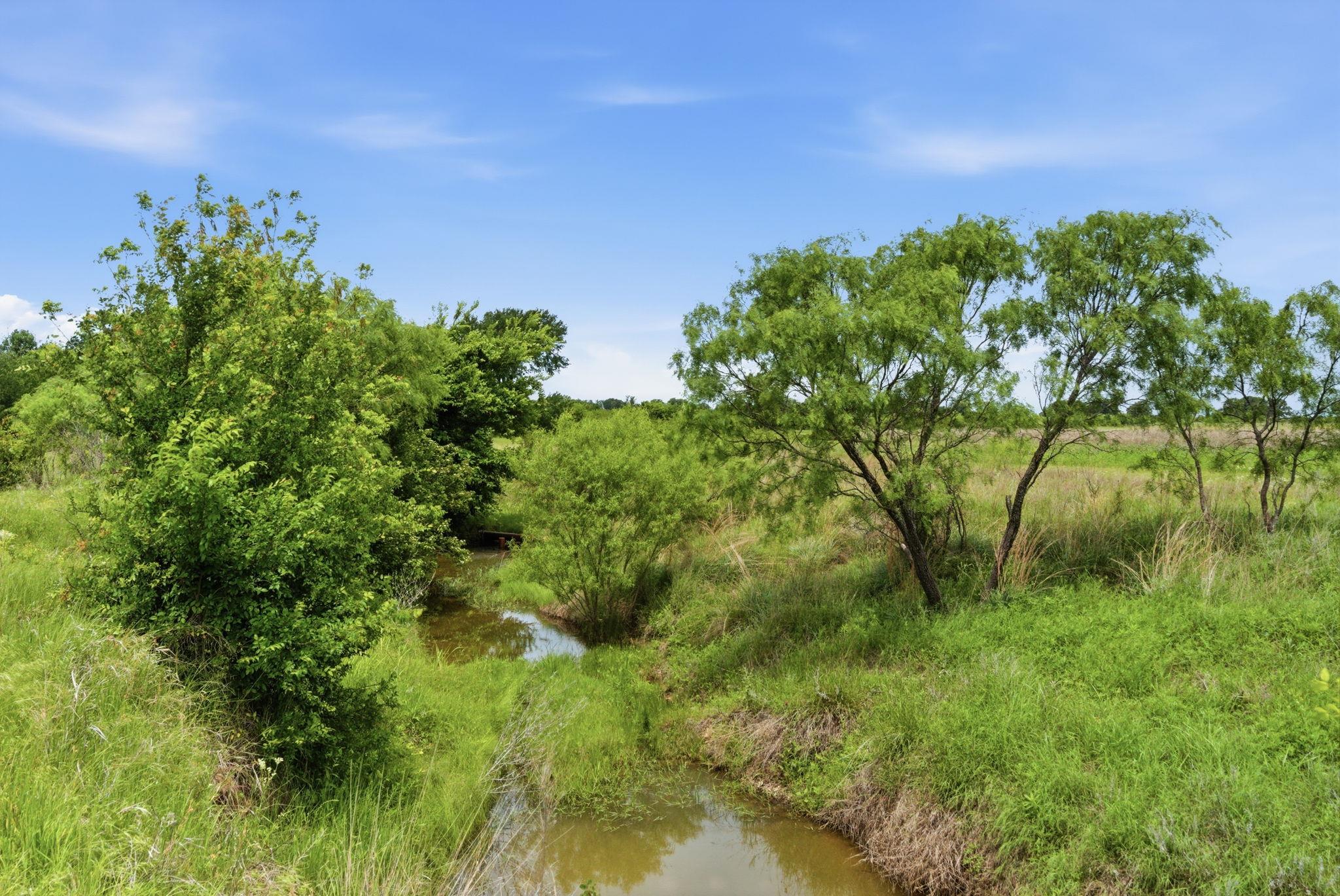 Tbd Cr 495 None Property Photo 33