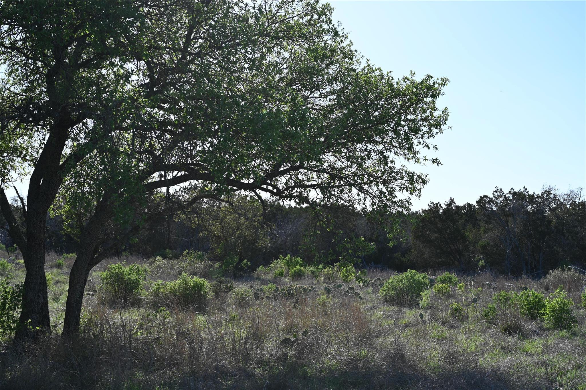 Lot 11 Crown Ln Property Photo