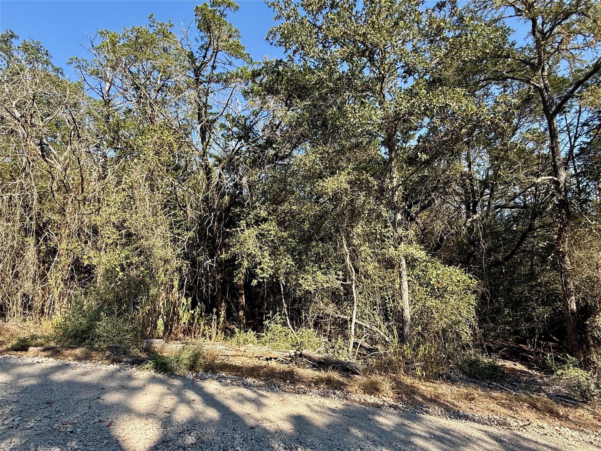 TBD Lot 1232 Hanauma Dr Property Photo 1