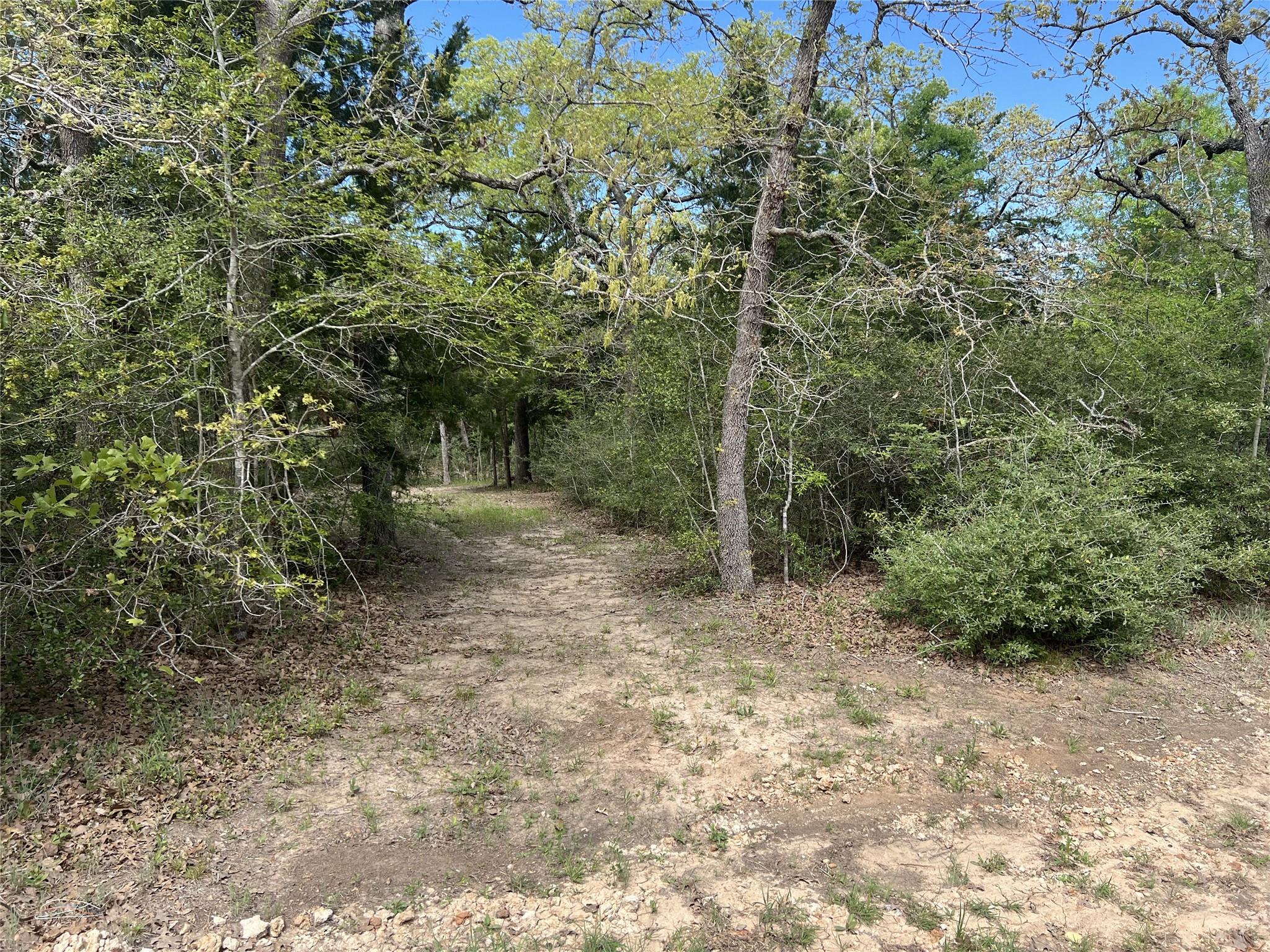 871 Big Berry Rd Property Photo 10