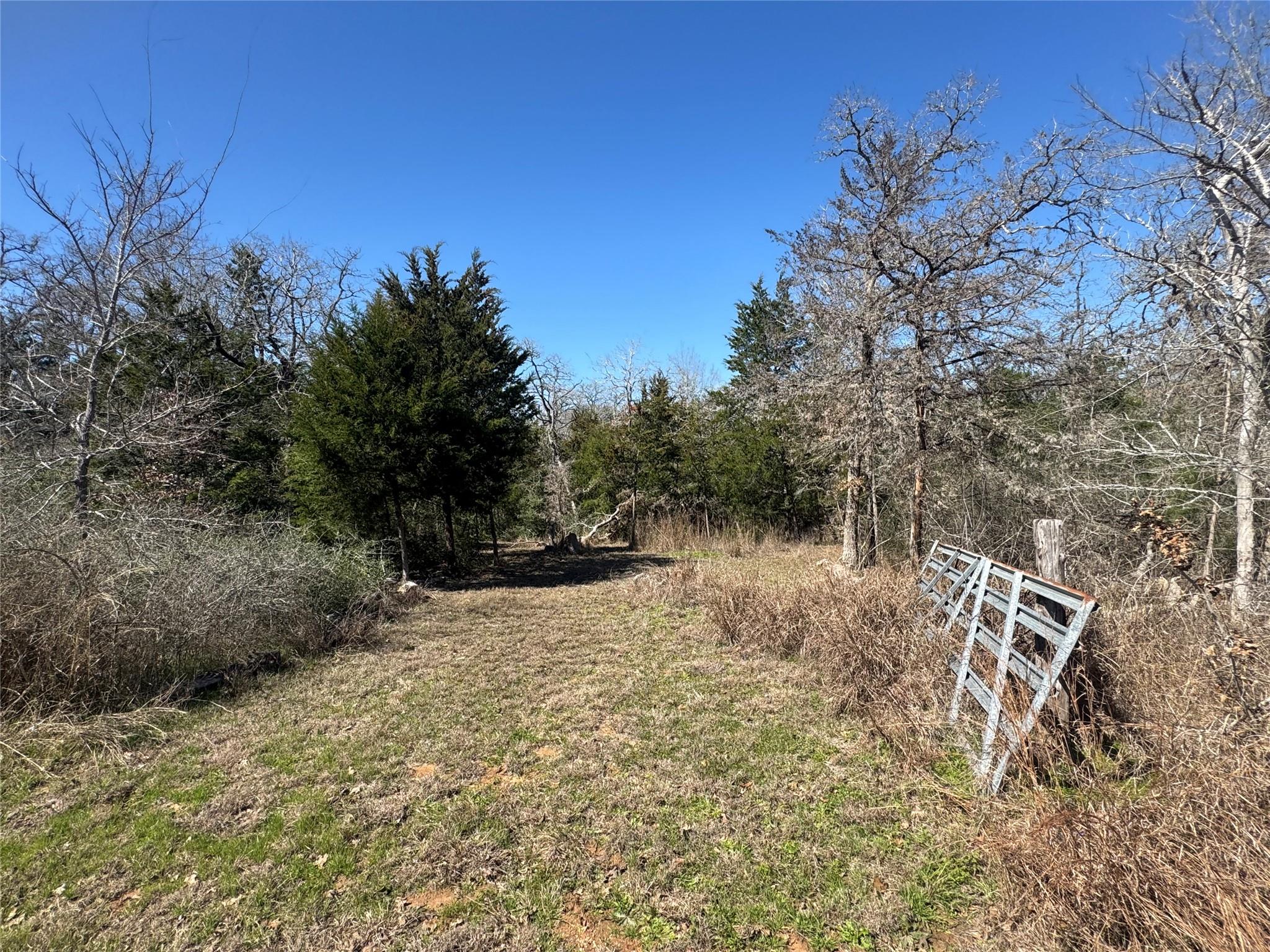 871 Big Berry Rd Property Photo 12
