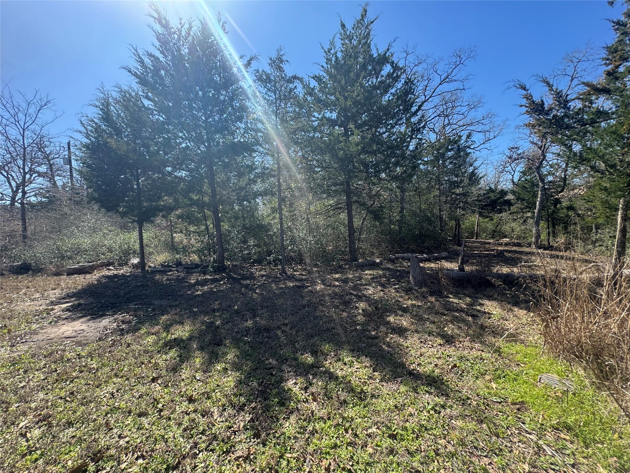 871 Big Berry Rd Property Photo 13