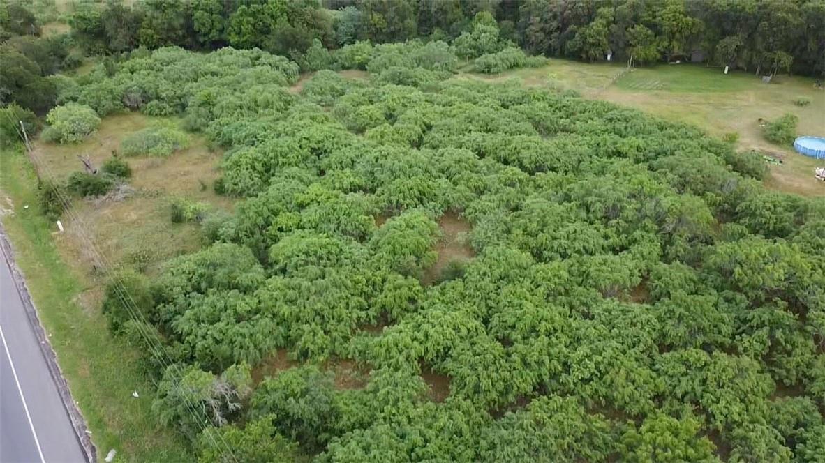 Lot 1 State Highway 21 None W Property Photo 6