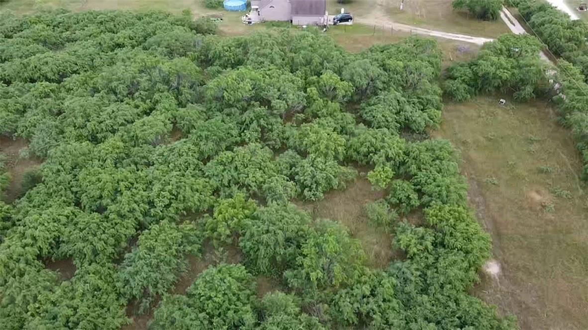 Lot 1 State Highway 21 None W Property Photo 7