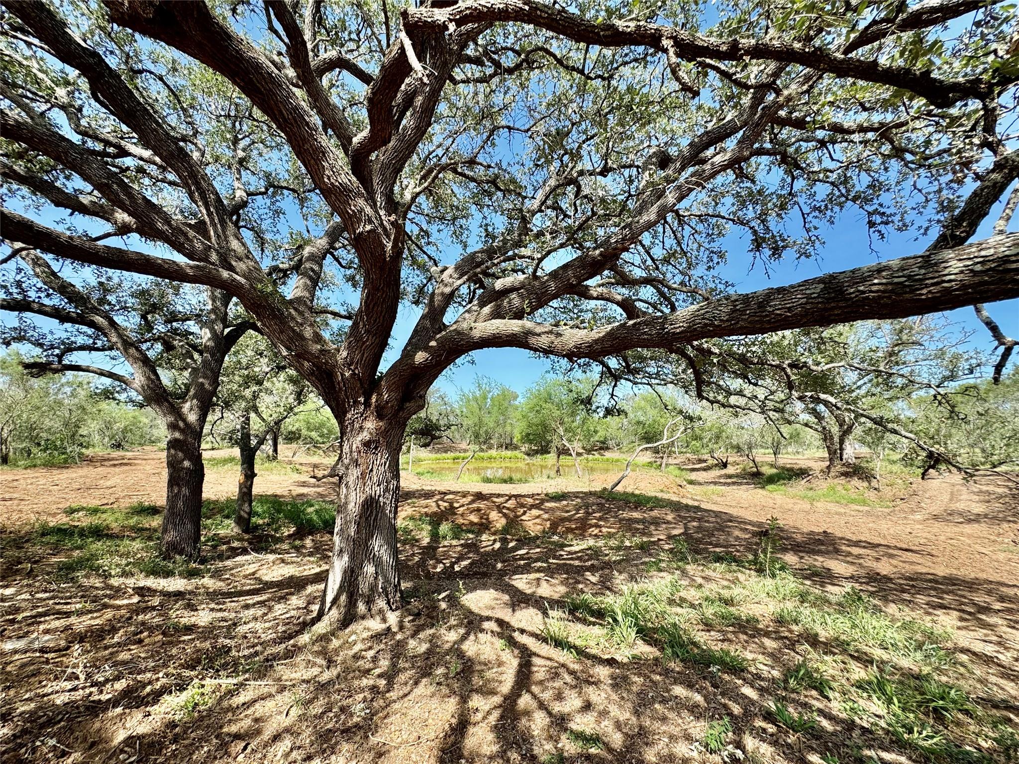 Tbd Cr 171 None Property Photo 3