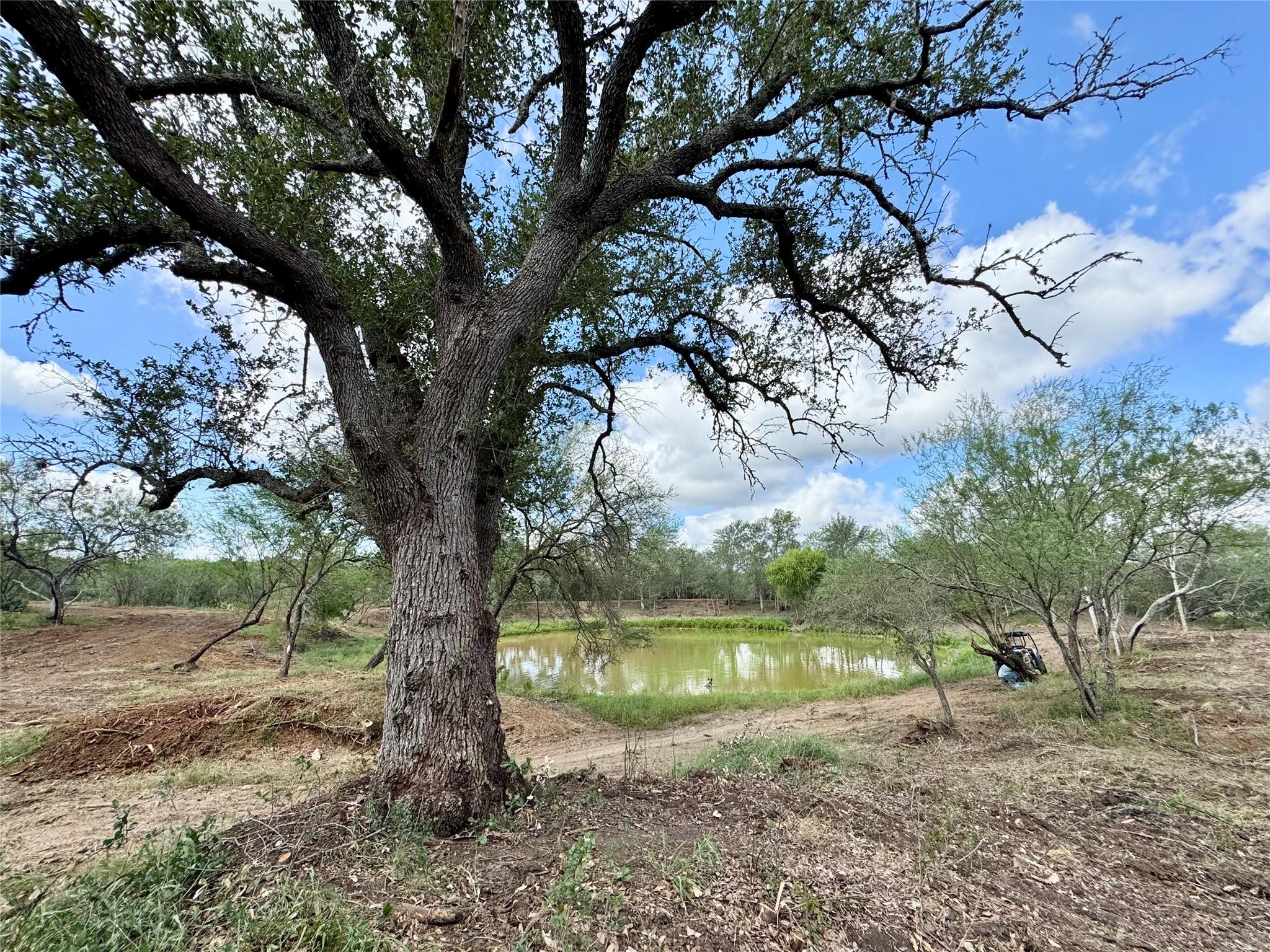 Tbd Cr 171 None Property Photo 5