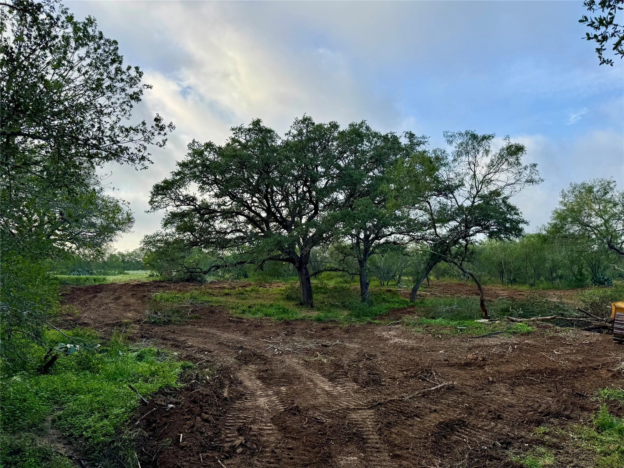 Tbd Cr 171 None Property Photo 8