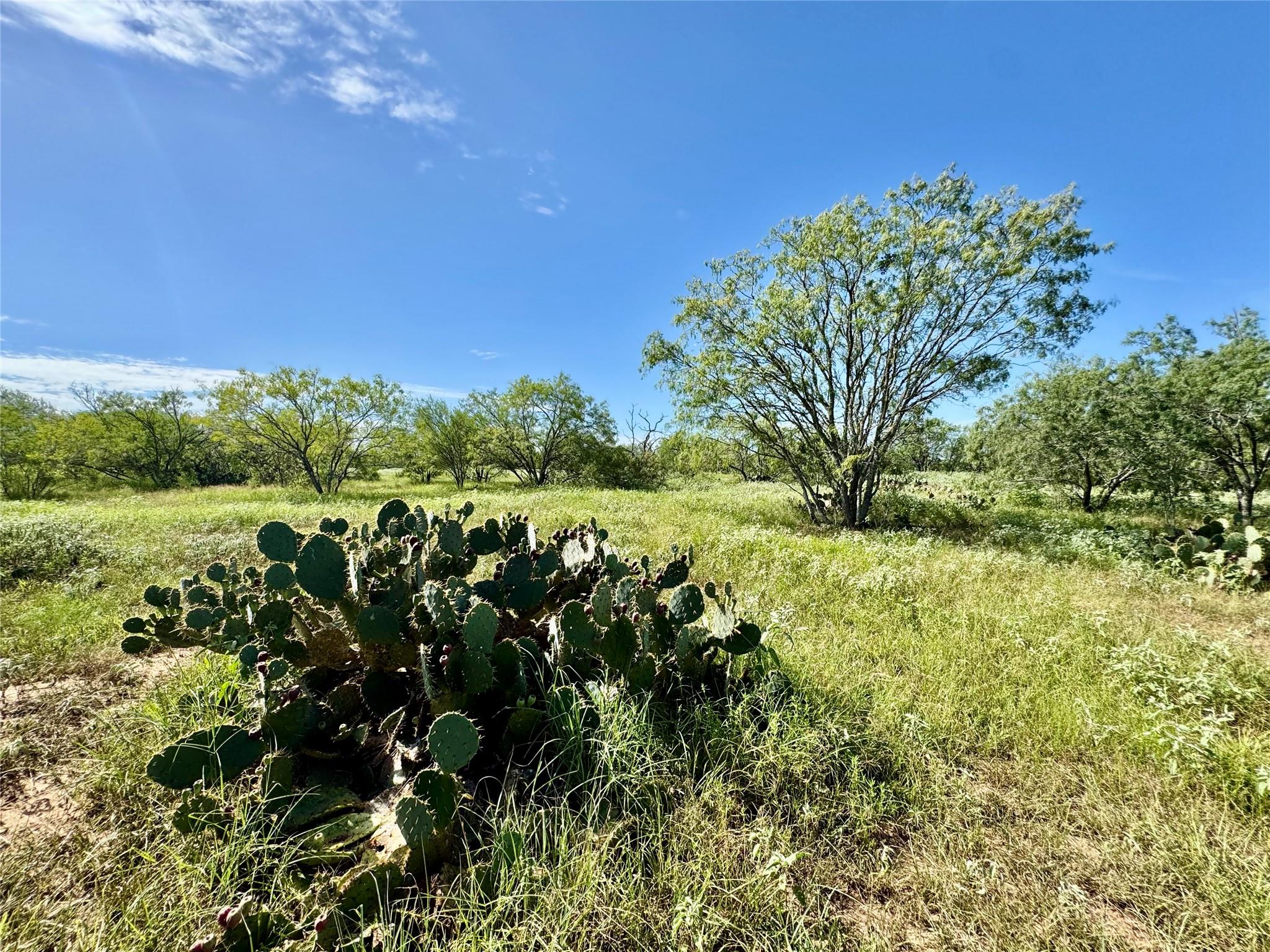 Tbd Cr 171 None Property Photo 9