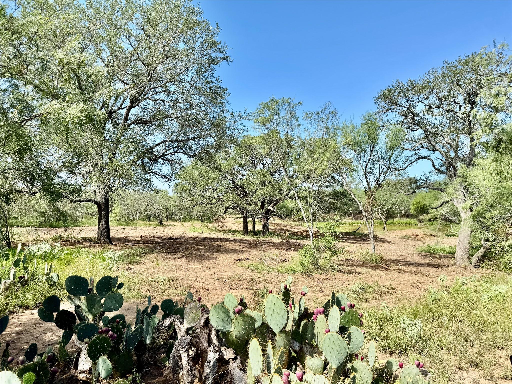 Tbd Cr 171 None Property Photo 10