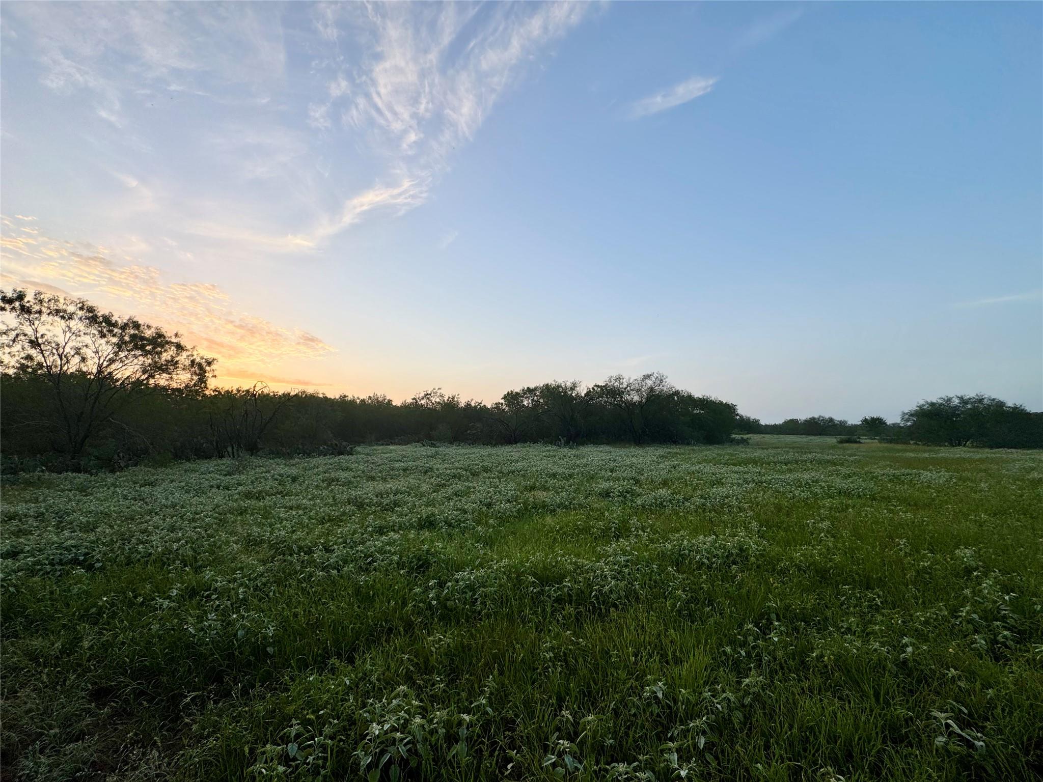 Tbd Cr 171 None Property Photo 12