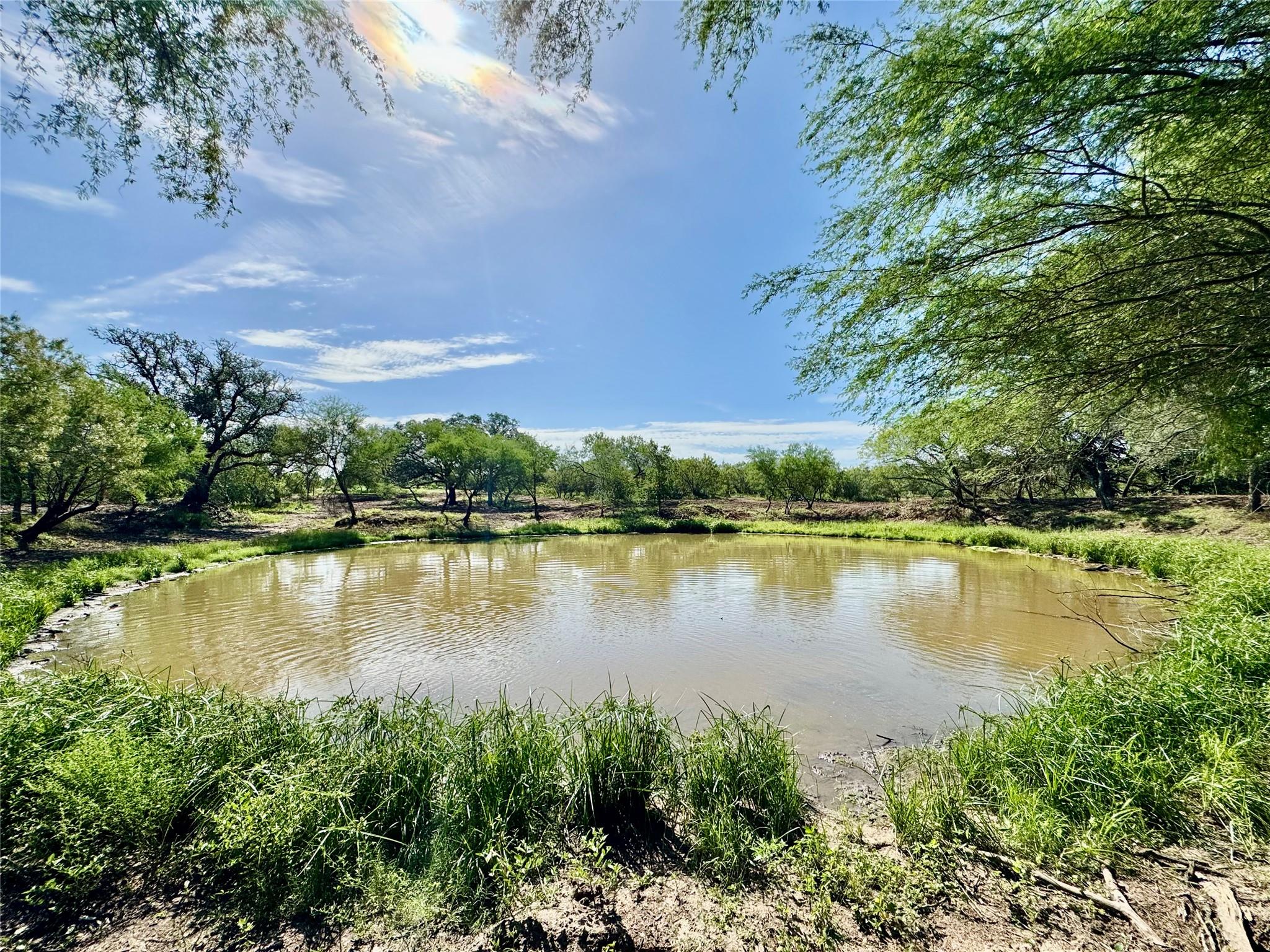 Tbd Cr 171 None Property Photo 13