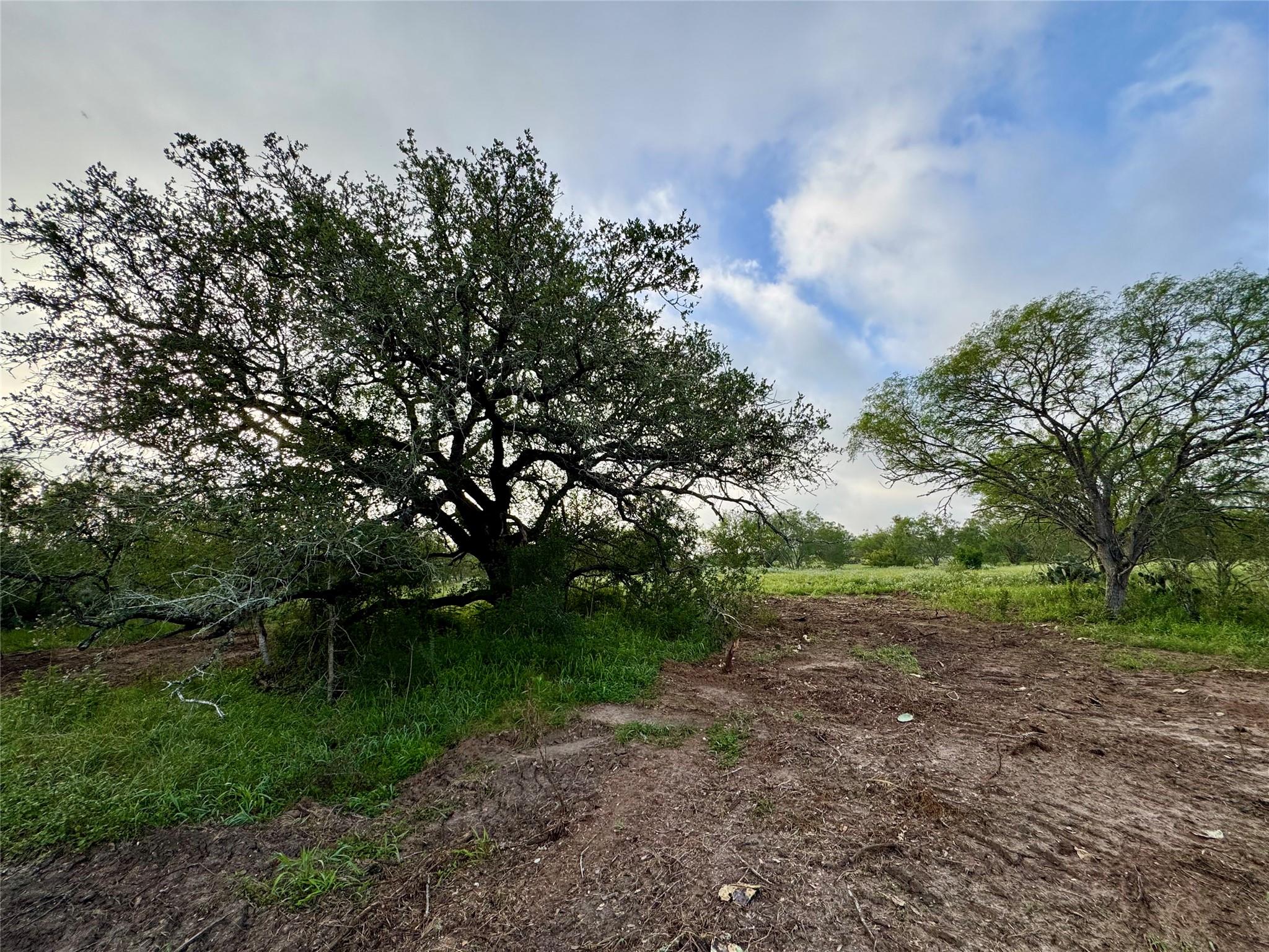 Tbd Cr 171 None Property Photo 14