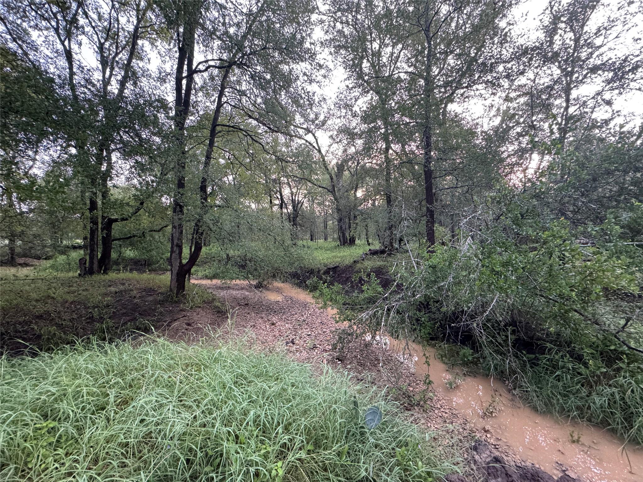 Tbd Cr 171 None Property Photo 19