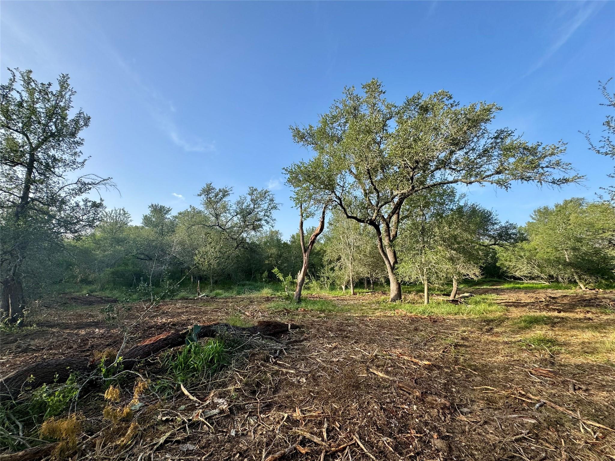 Tbd Cr 171 None Property Photo 20