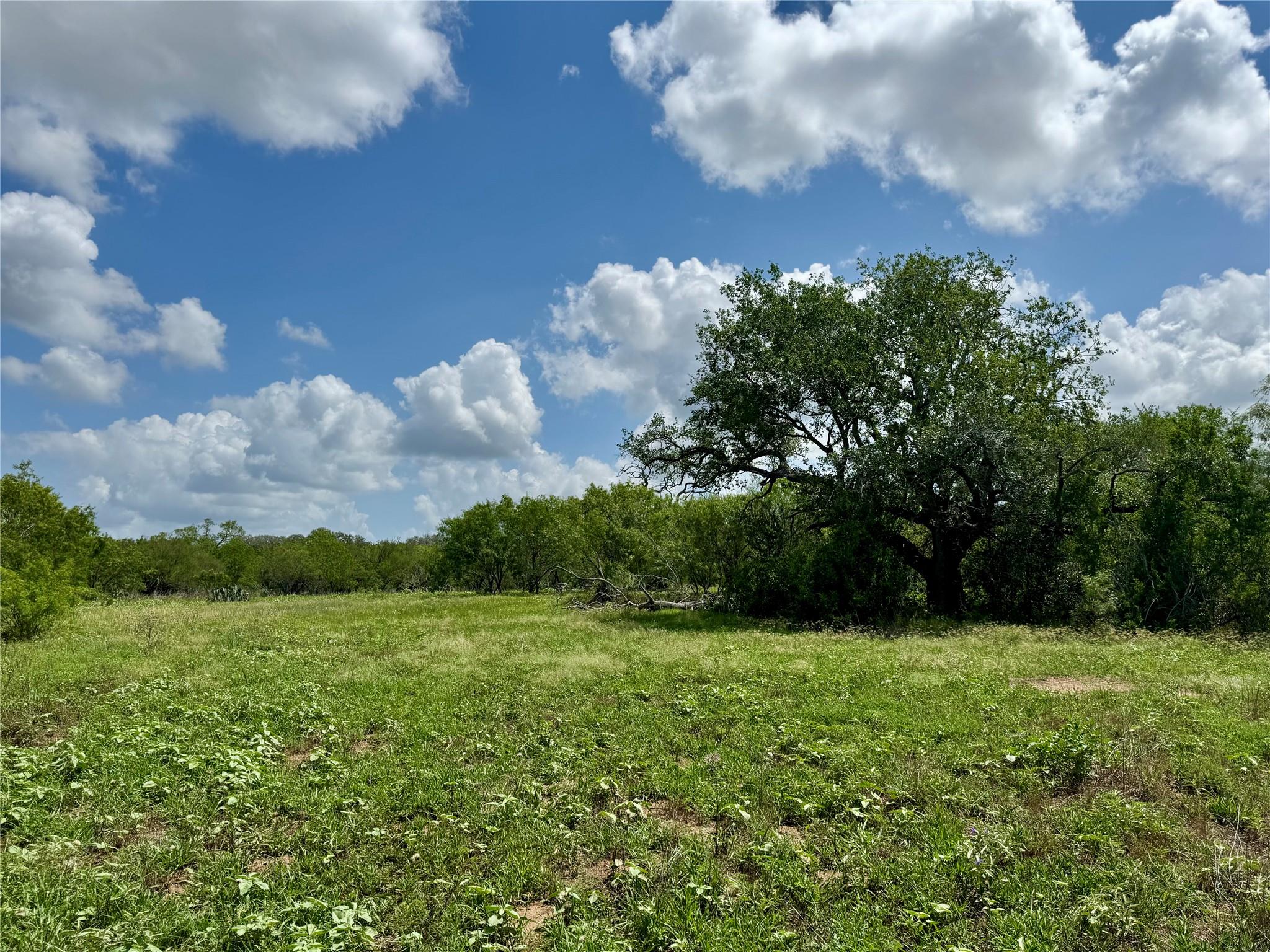 Tbd Cr 171 None Property Photo 21
