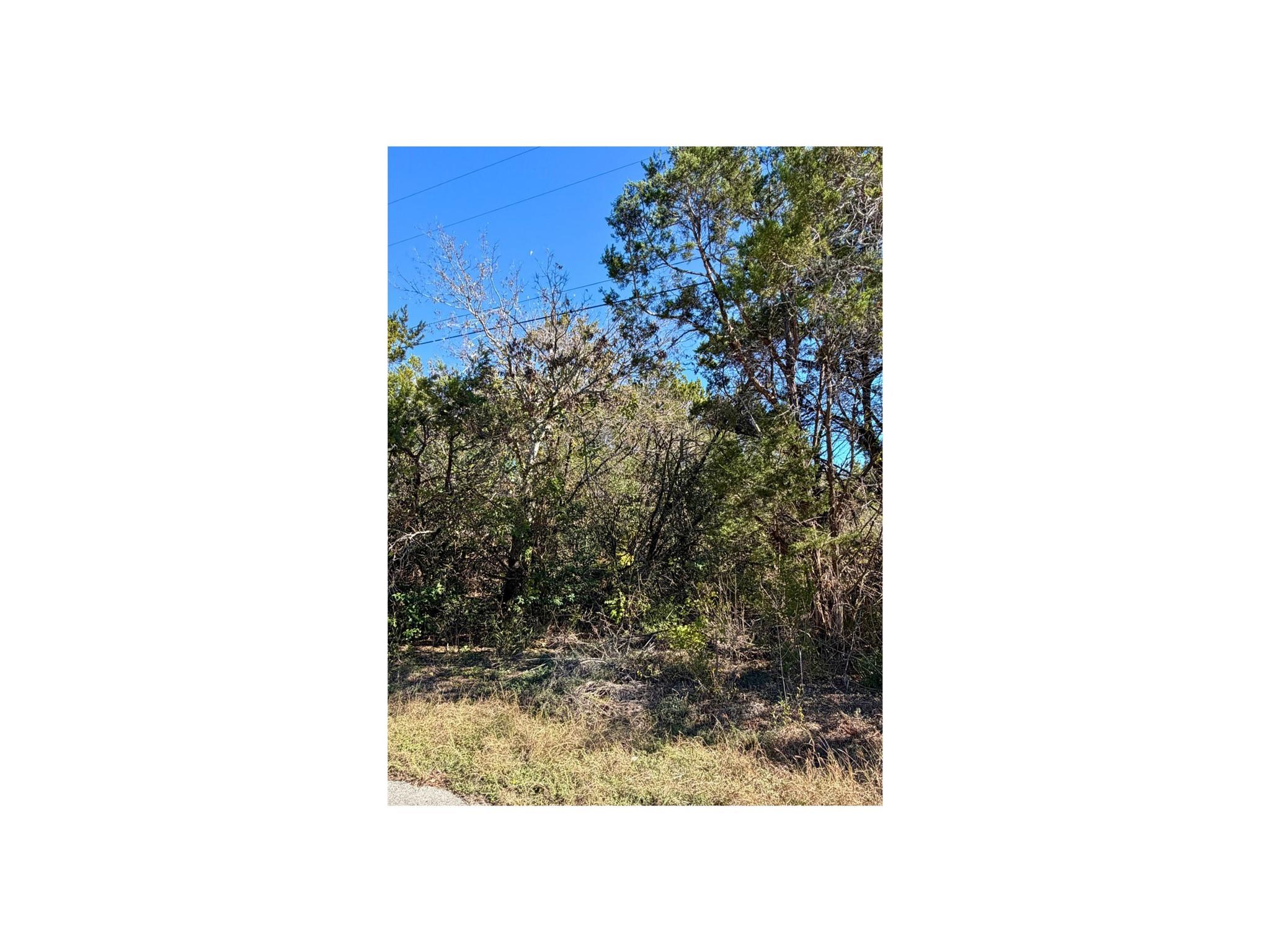 7401 Williamson Creek Dr #2 Property Photo 1