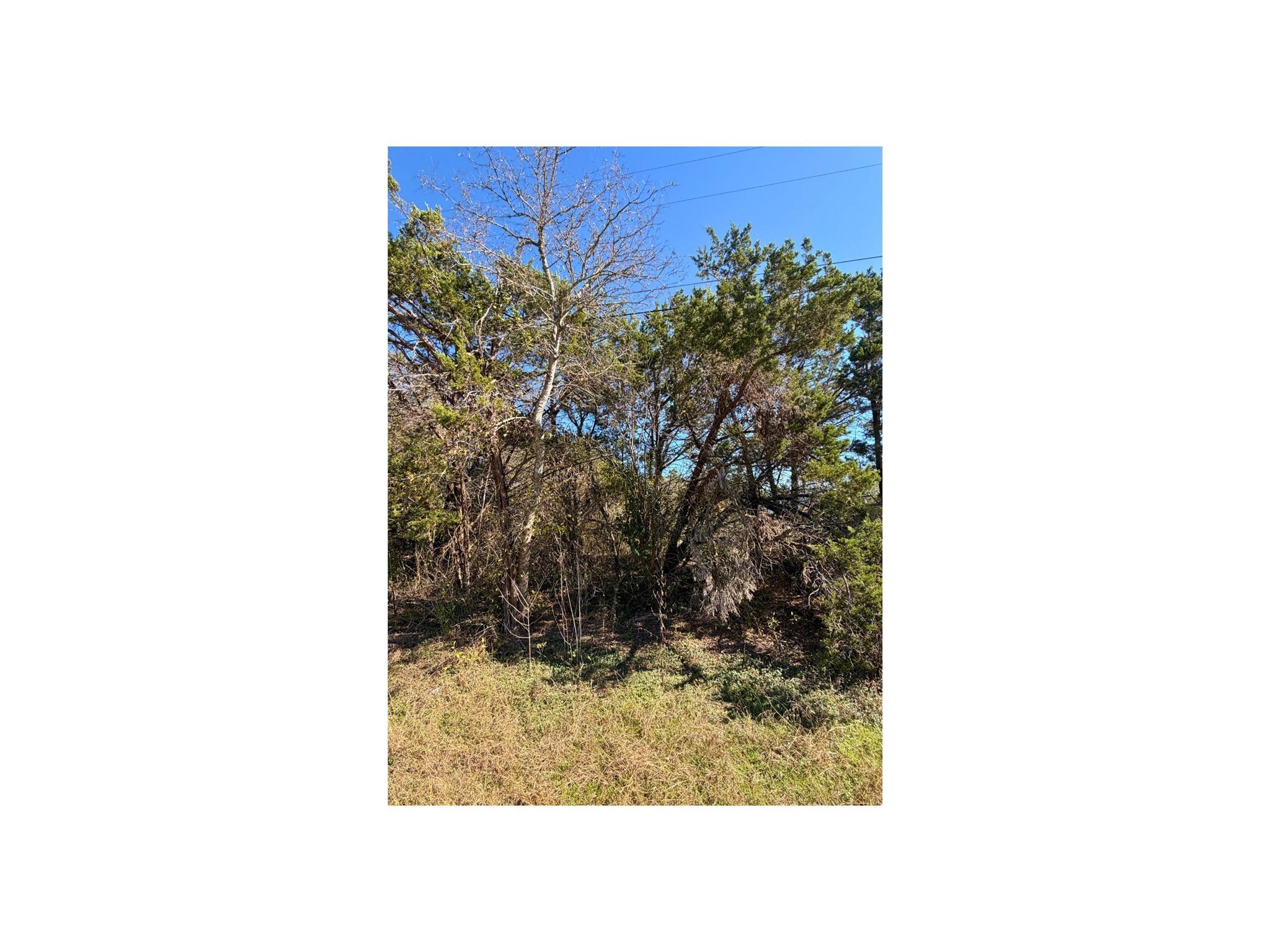 7401 Williamson Creek Dr #2 Property Photo 2