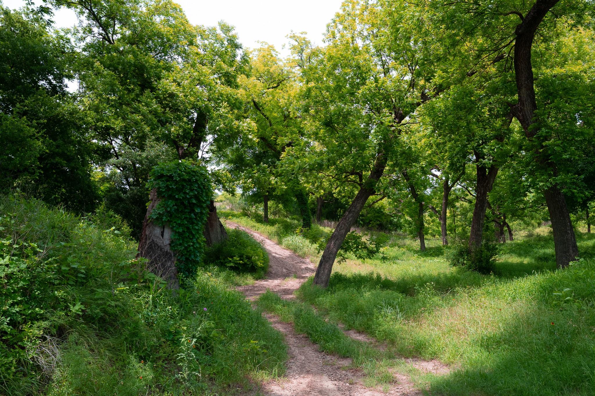 Lot 156 Hilandale Dr Property Photo 31