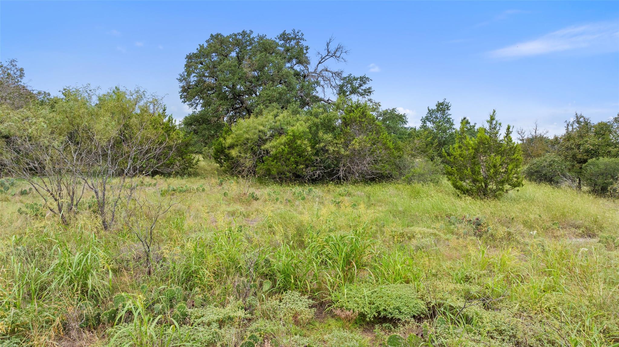 108 Cross Trl Property Photo 5