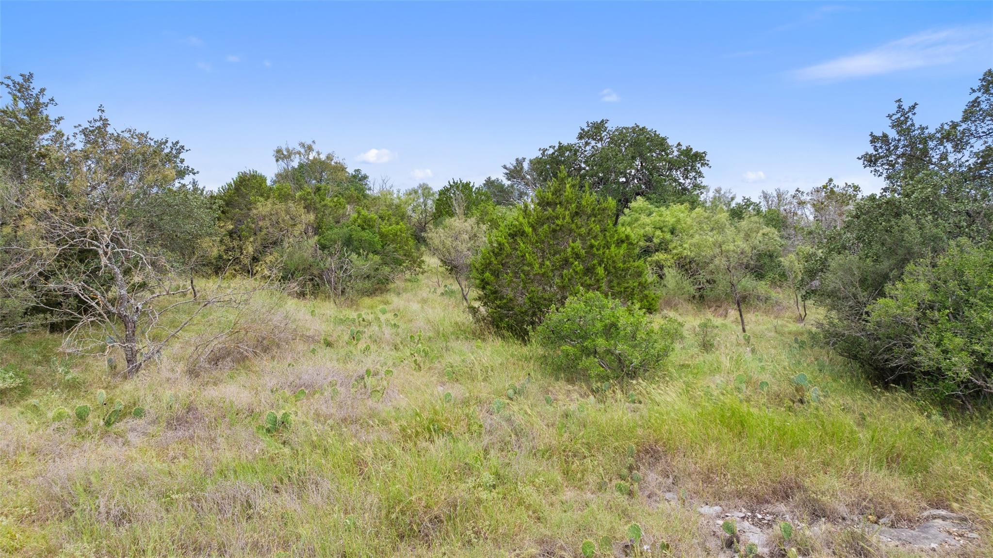 108 Cross Trl Property Photo 16