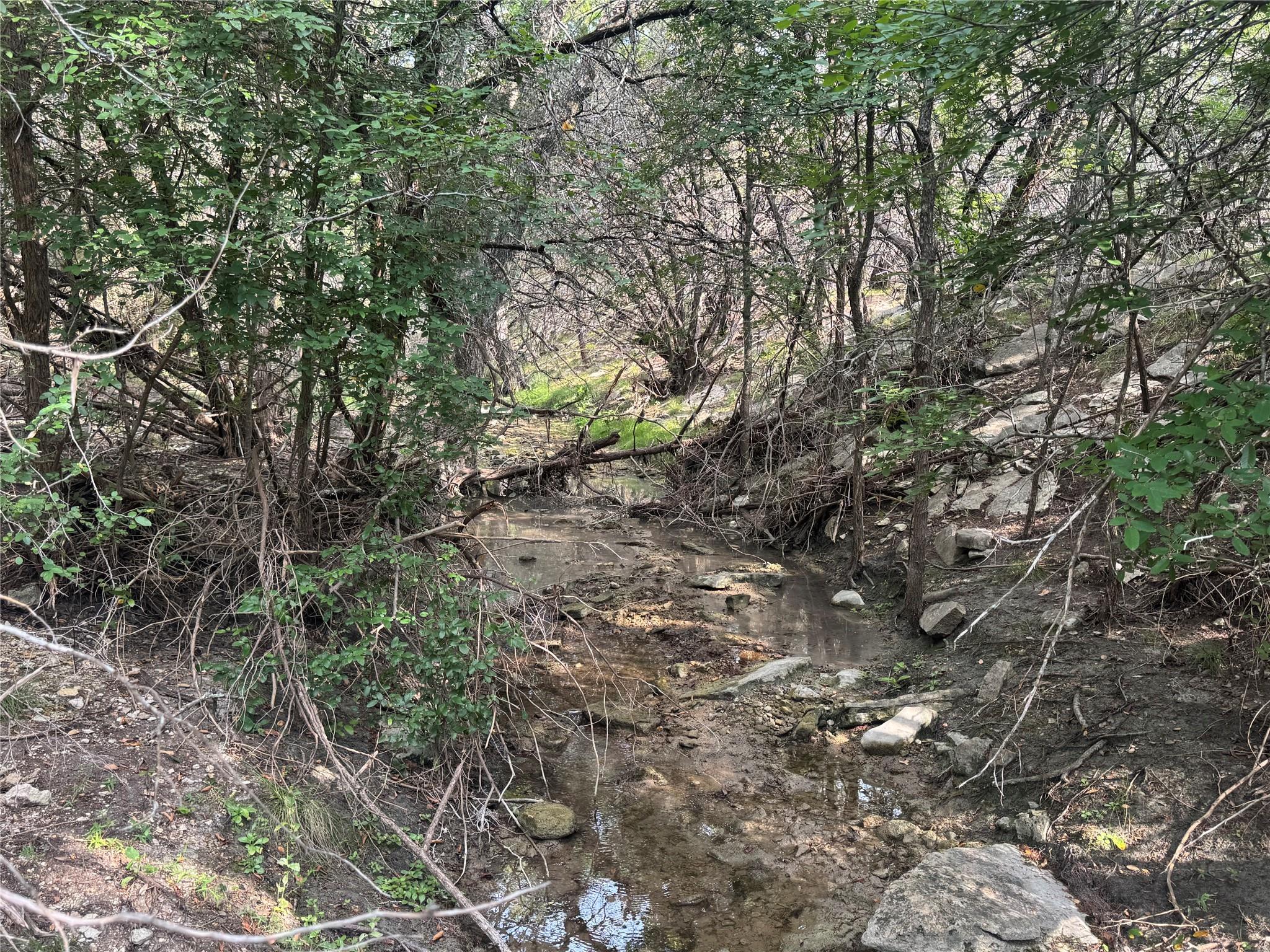 Tbd Donnie Dr Property Photo 5