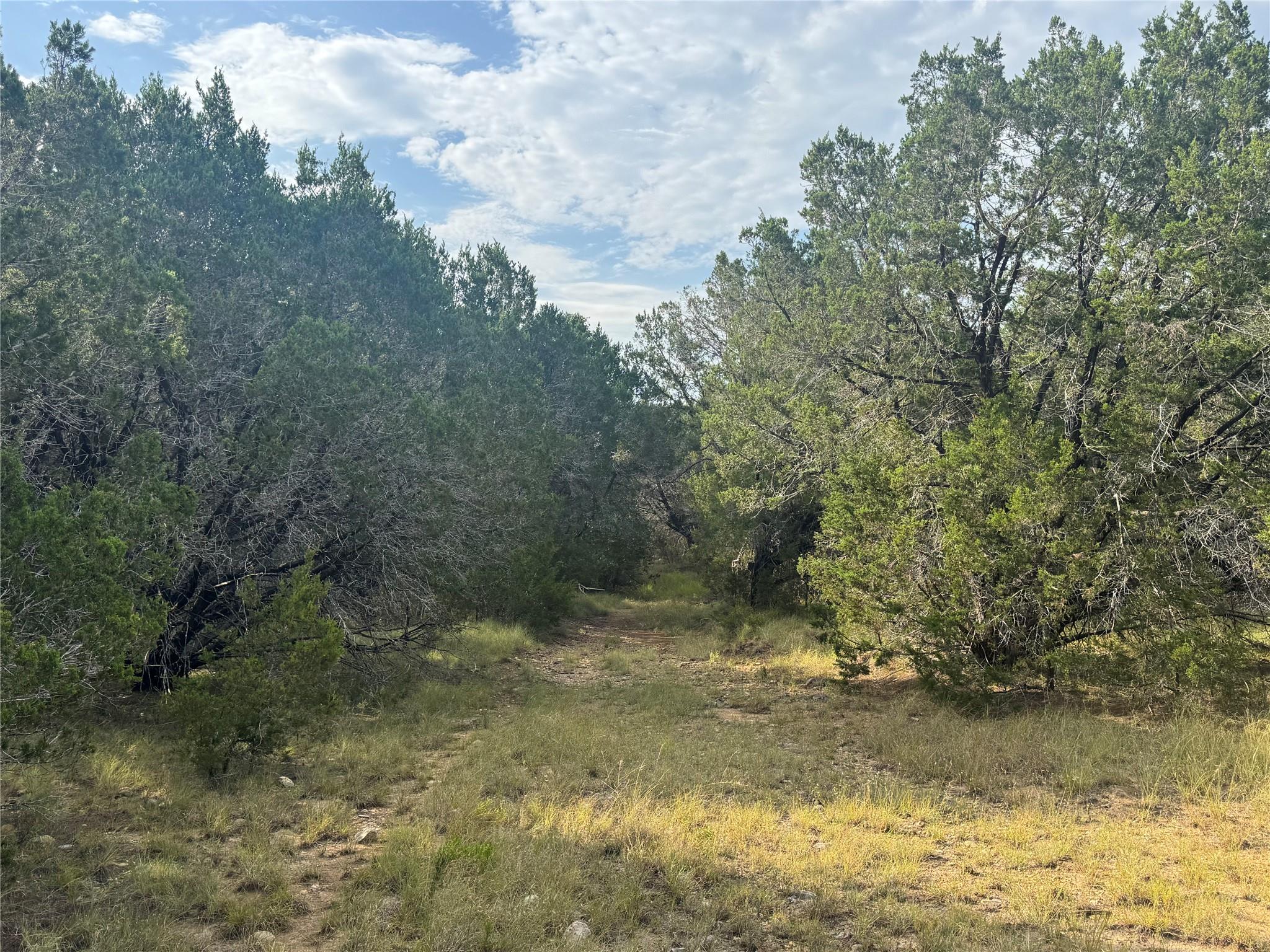 Tbd Donnie Dr Property Photo 8
