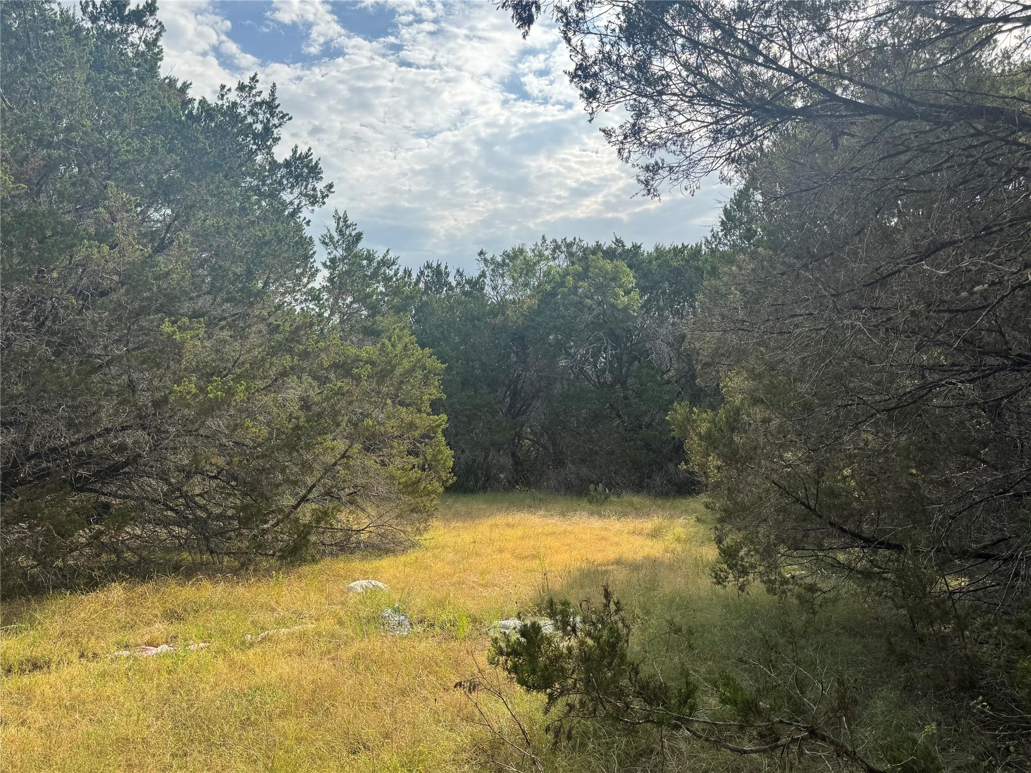 Tbd Donnie Dr Property Photo 9