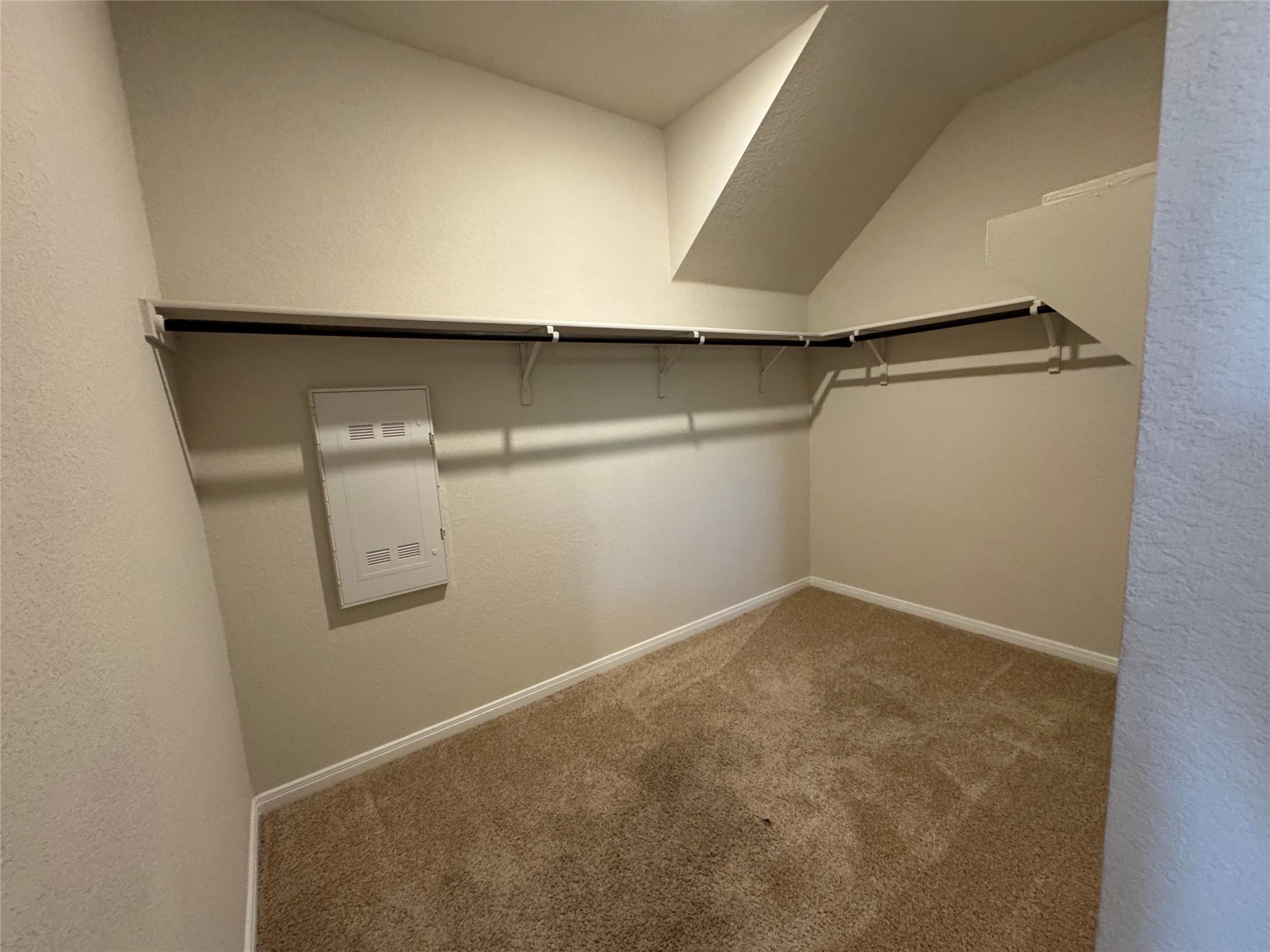14013 Levy Ln Property Photo 15