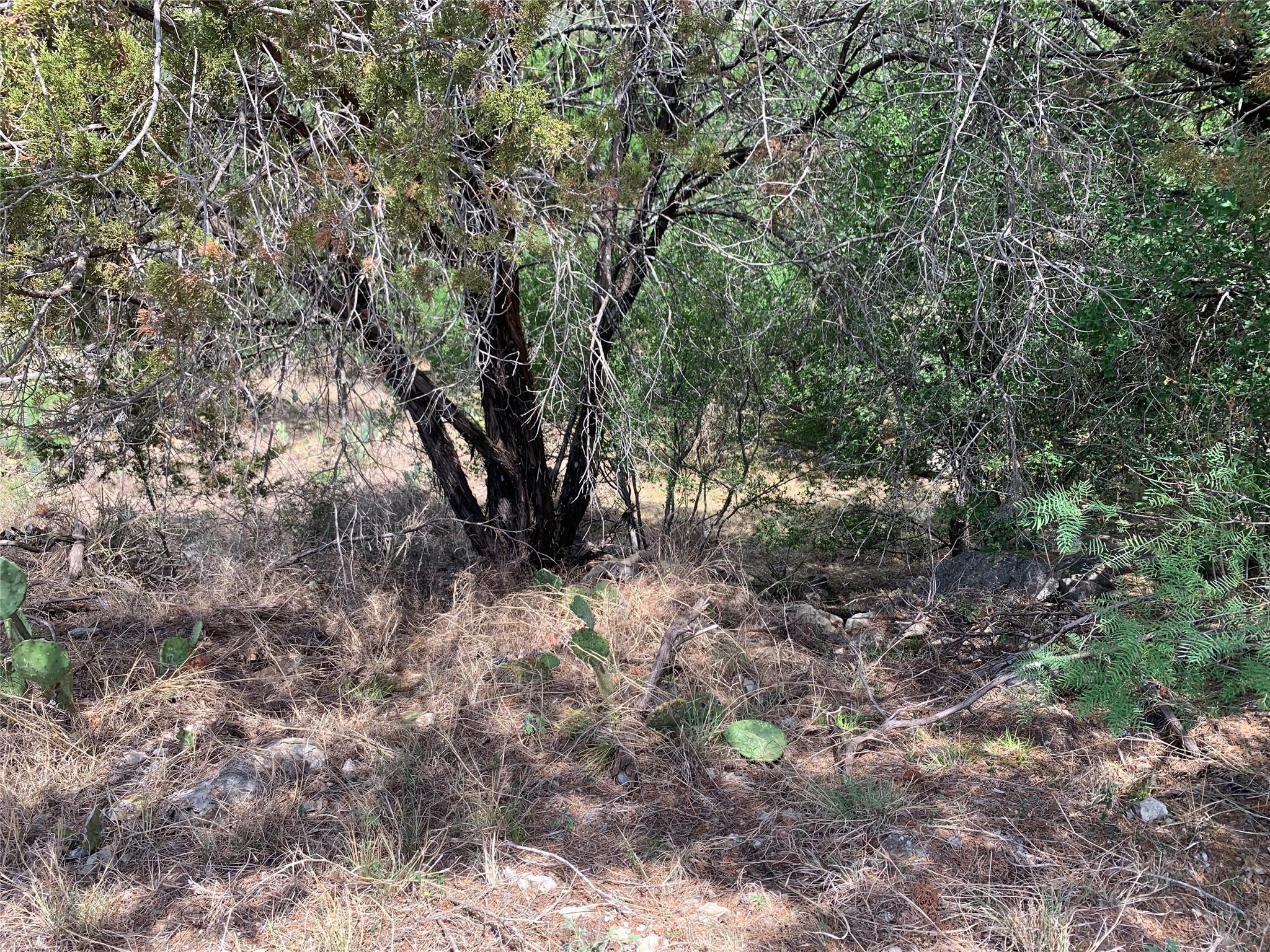 702 Fallow Property Photo 3