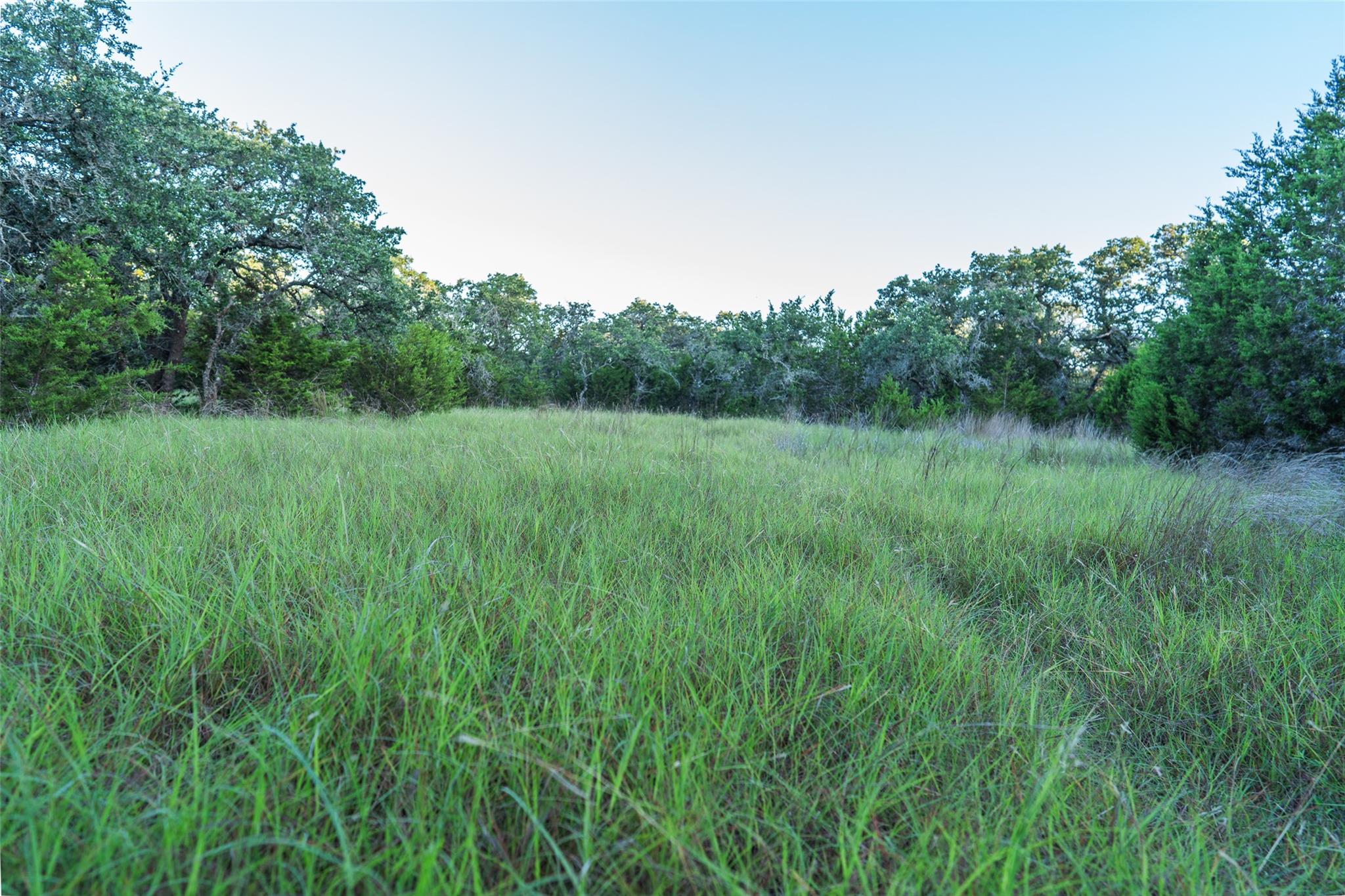 Tbd Crabapple Rd Property Photo 1