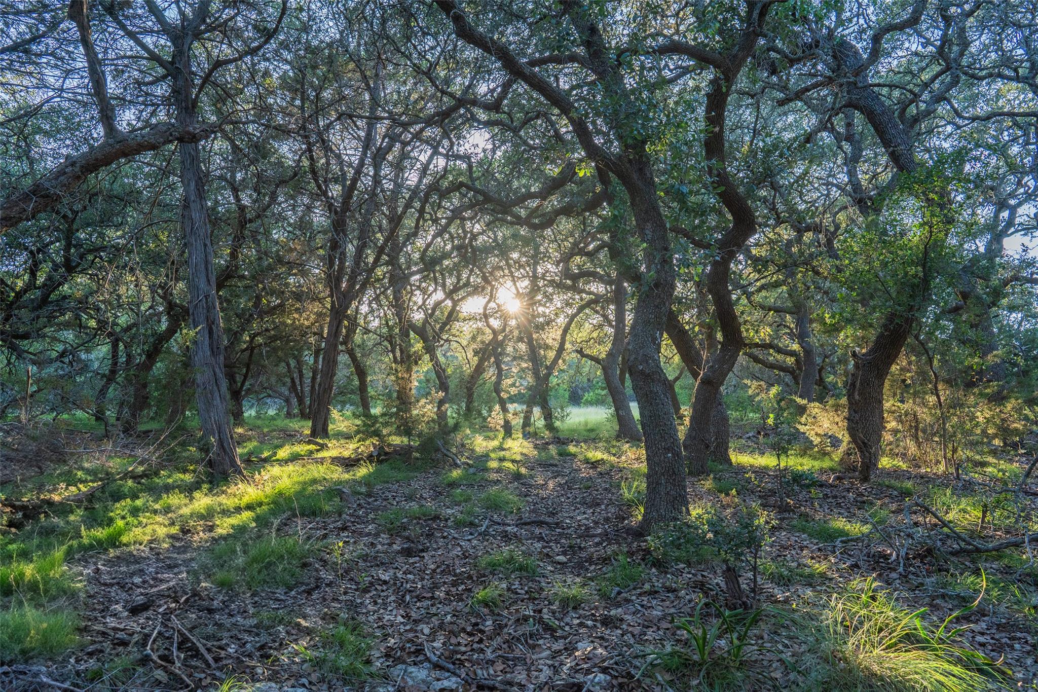 Tbd Crabapple Rd Property Photo 3