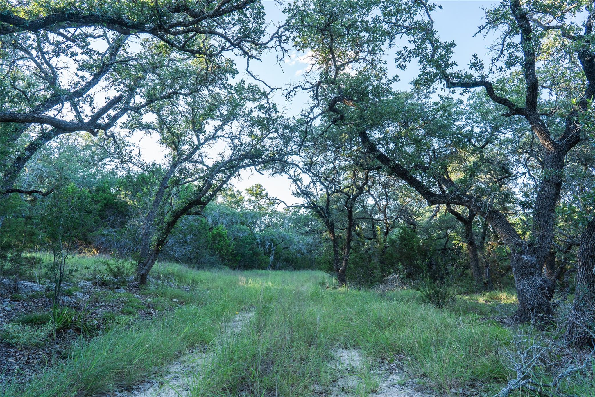 Tbd Crabapple Rd Property Photo 5