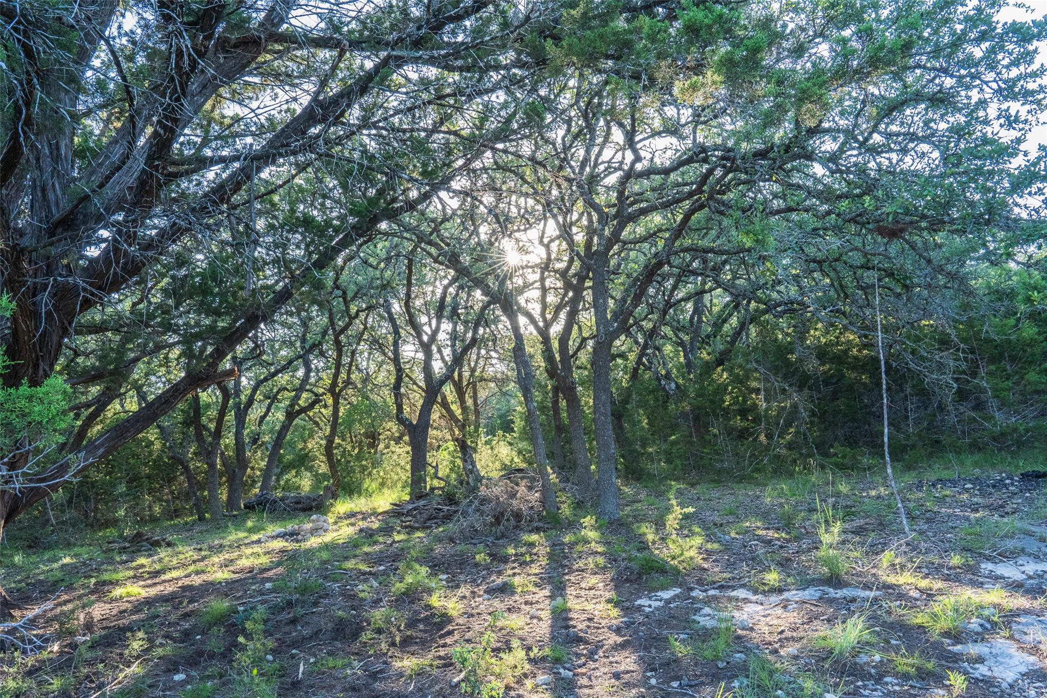 Tbd Crabapple Rd Property Photo 7