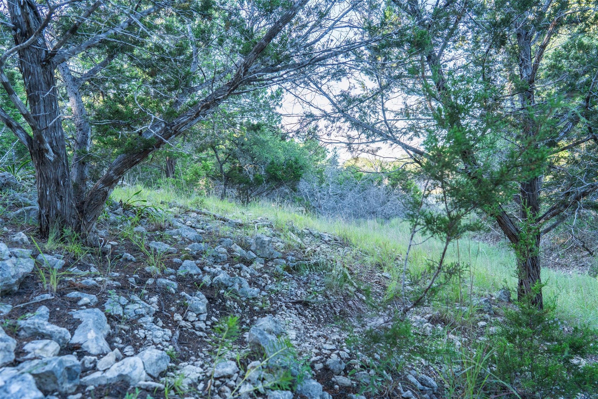 Tbd Crabapple Rd Property Photo 8