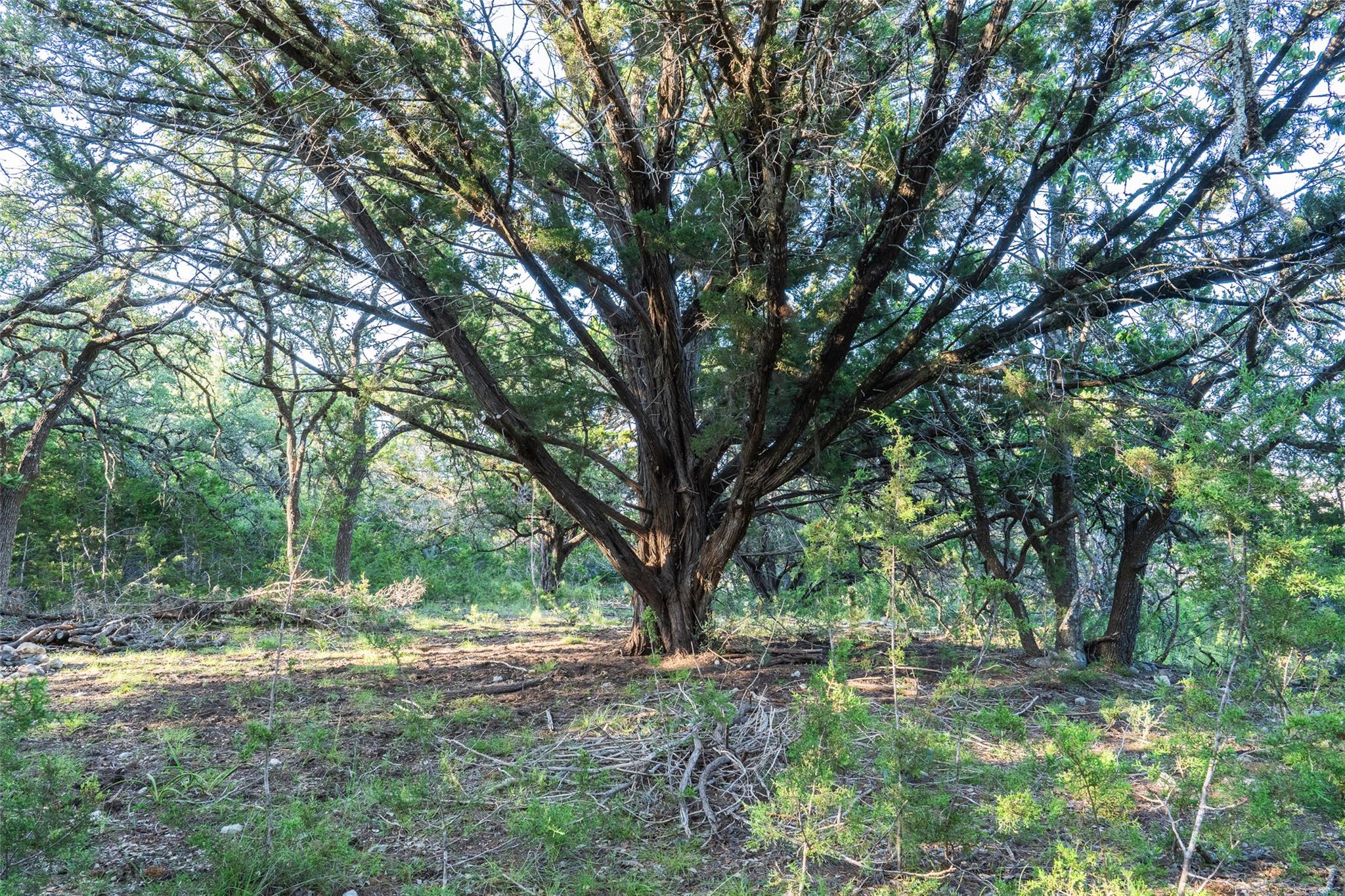 Tbd Crabapple Rd Property Photo 10