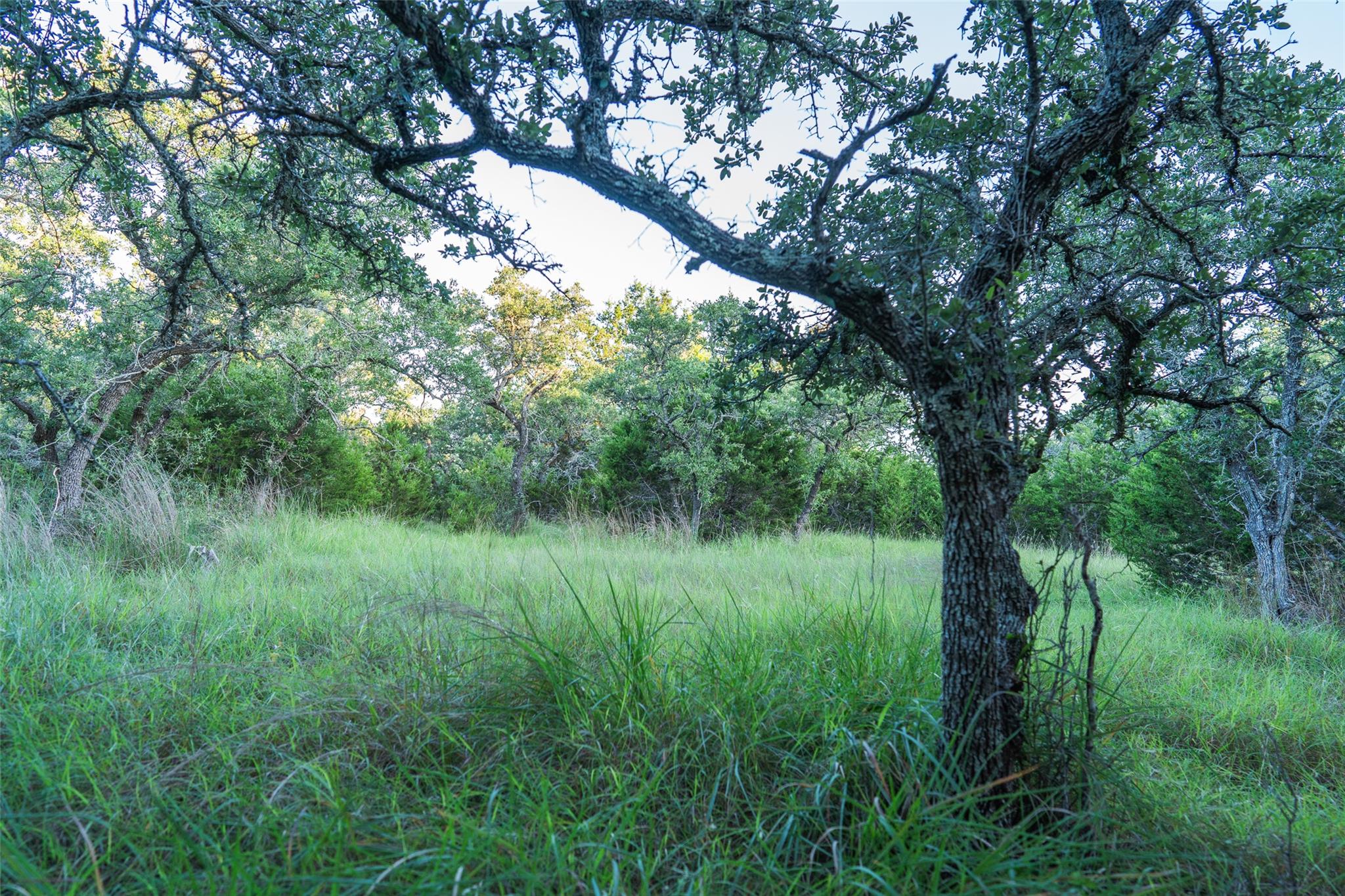 Tbd Crabapple Rd Property Photo 13