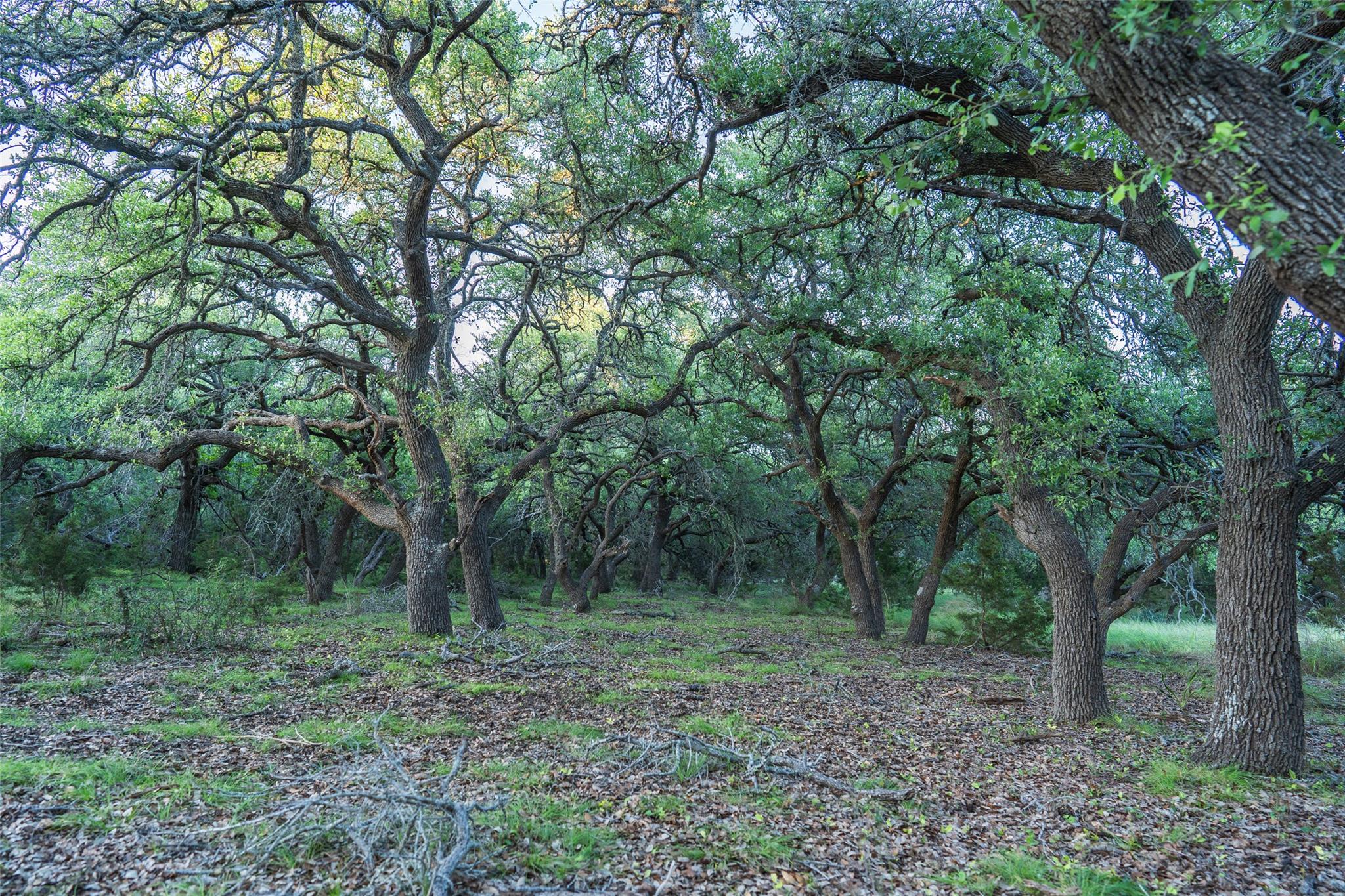 Tbd Crabapple Rd Property Photo 14