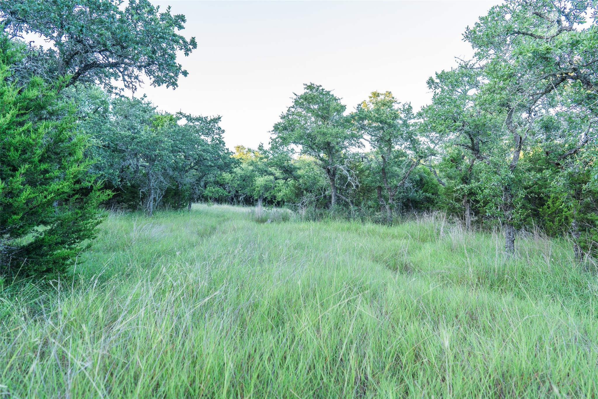 Tbd Crabapple Rd Property Photo 19