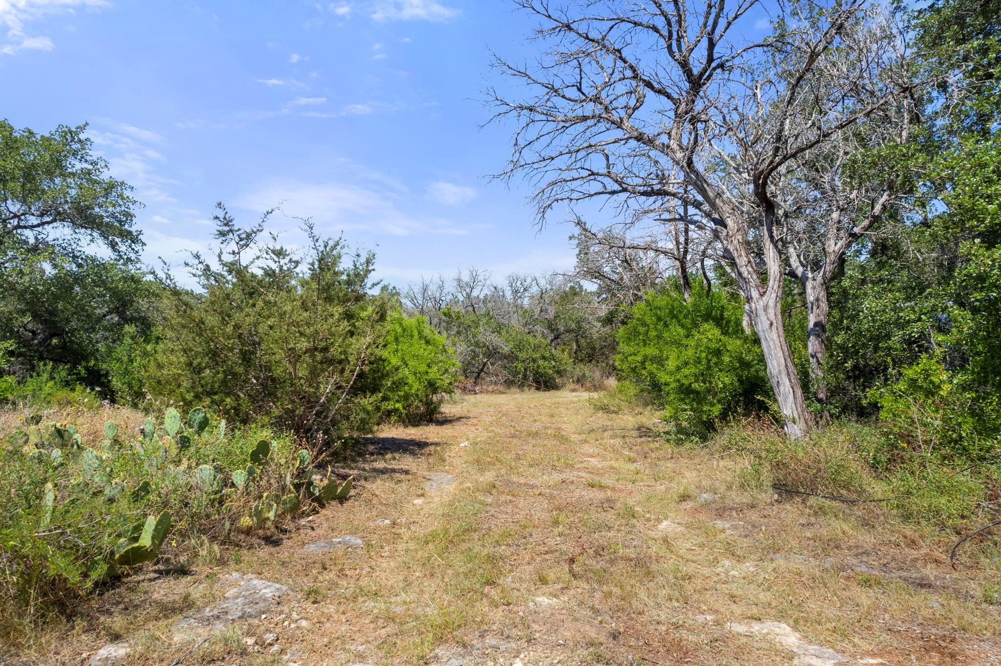 23601 Old Ferry Rd 8 Property Photo 4