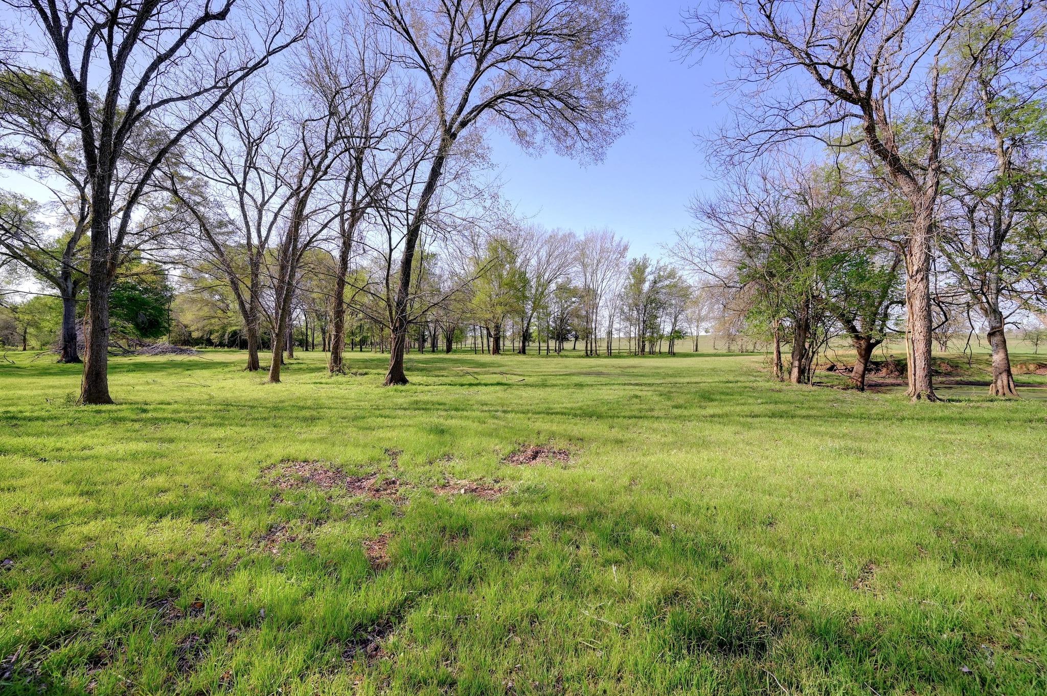 62 County Road 448 Property Photo 13