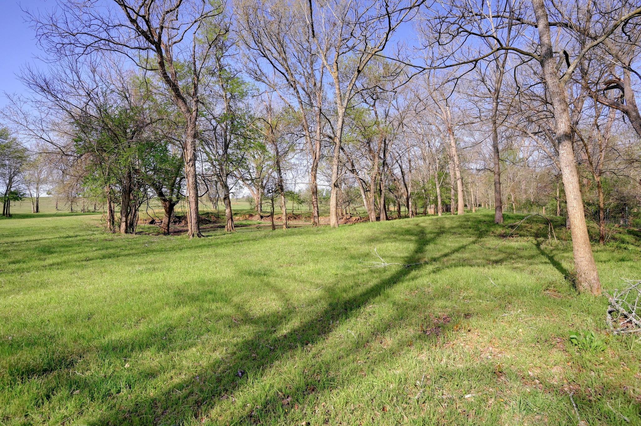 62 County Road 448 Property Photo 15