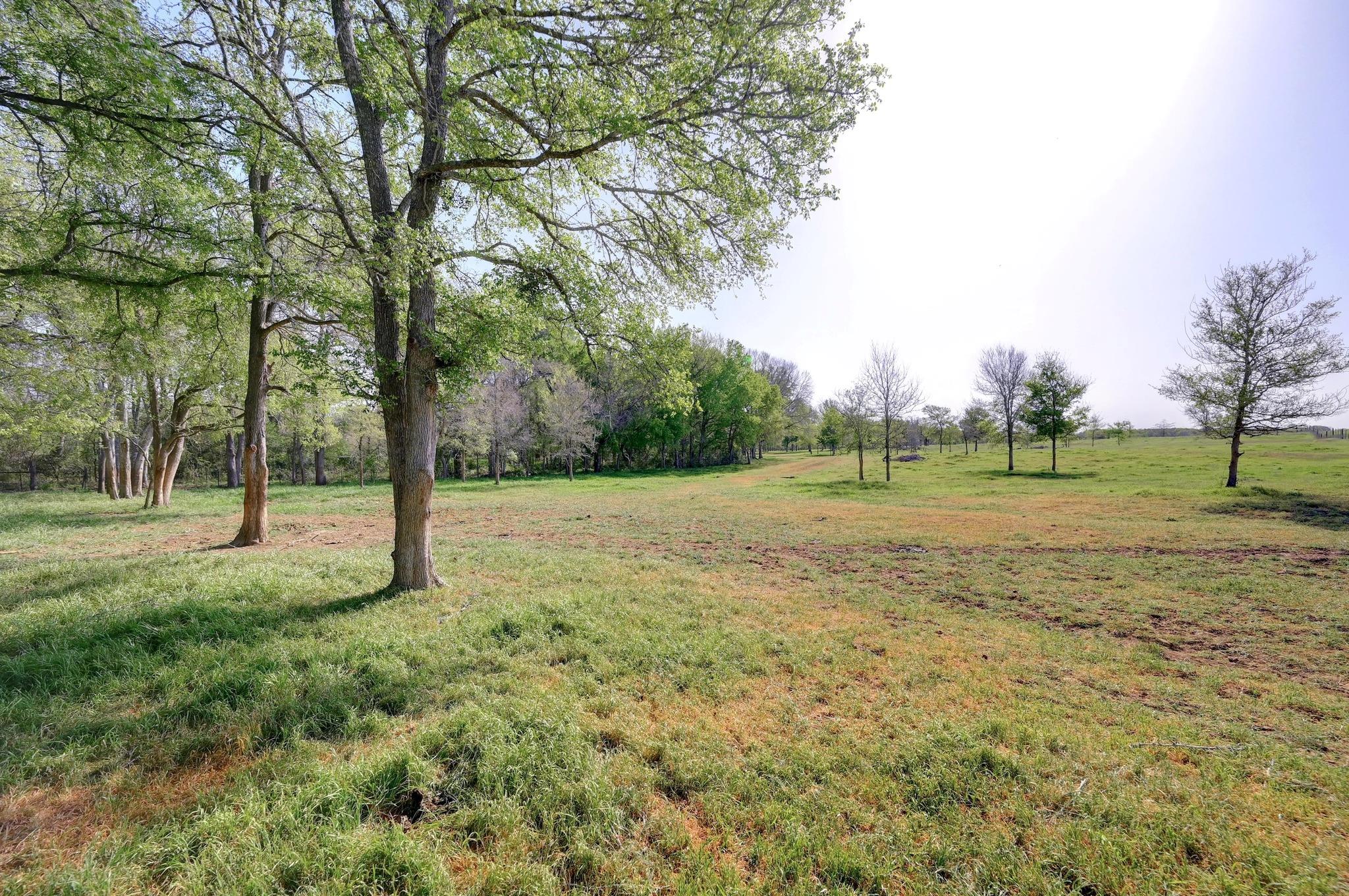 62 County Road 448 Property Photo 19