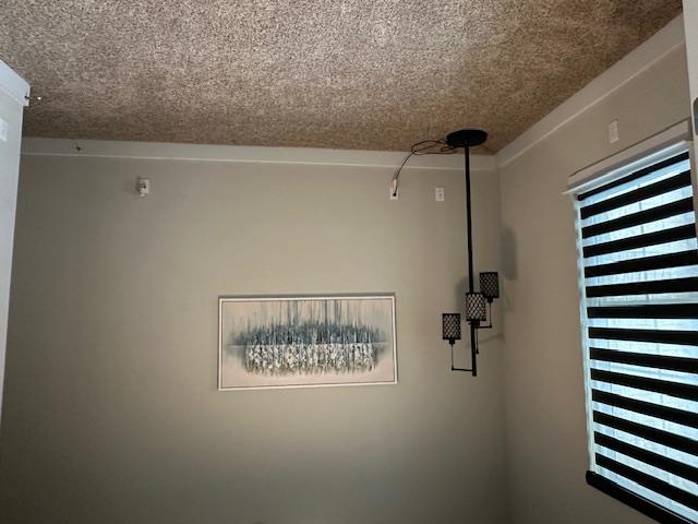 900 Elenora Dr Property Photo 23