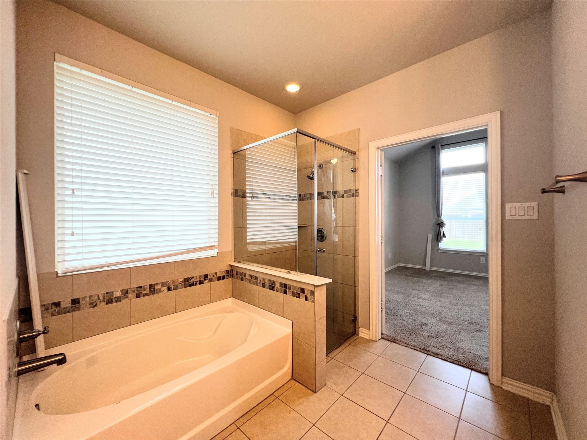 613 Palmilla St Property Photo 18