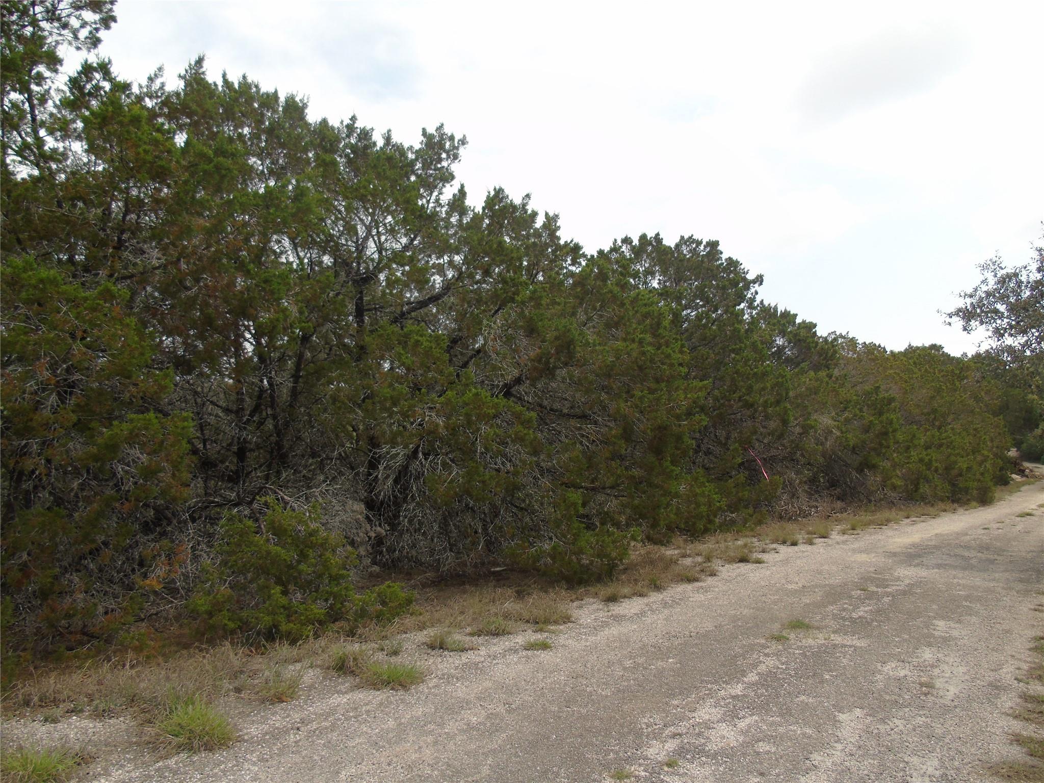 20604 Agarita Dr Property Photo 2